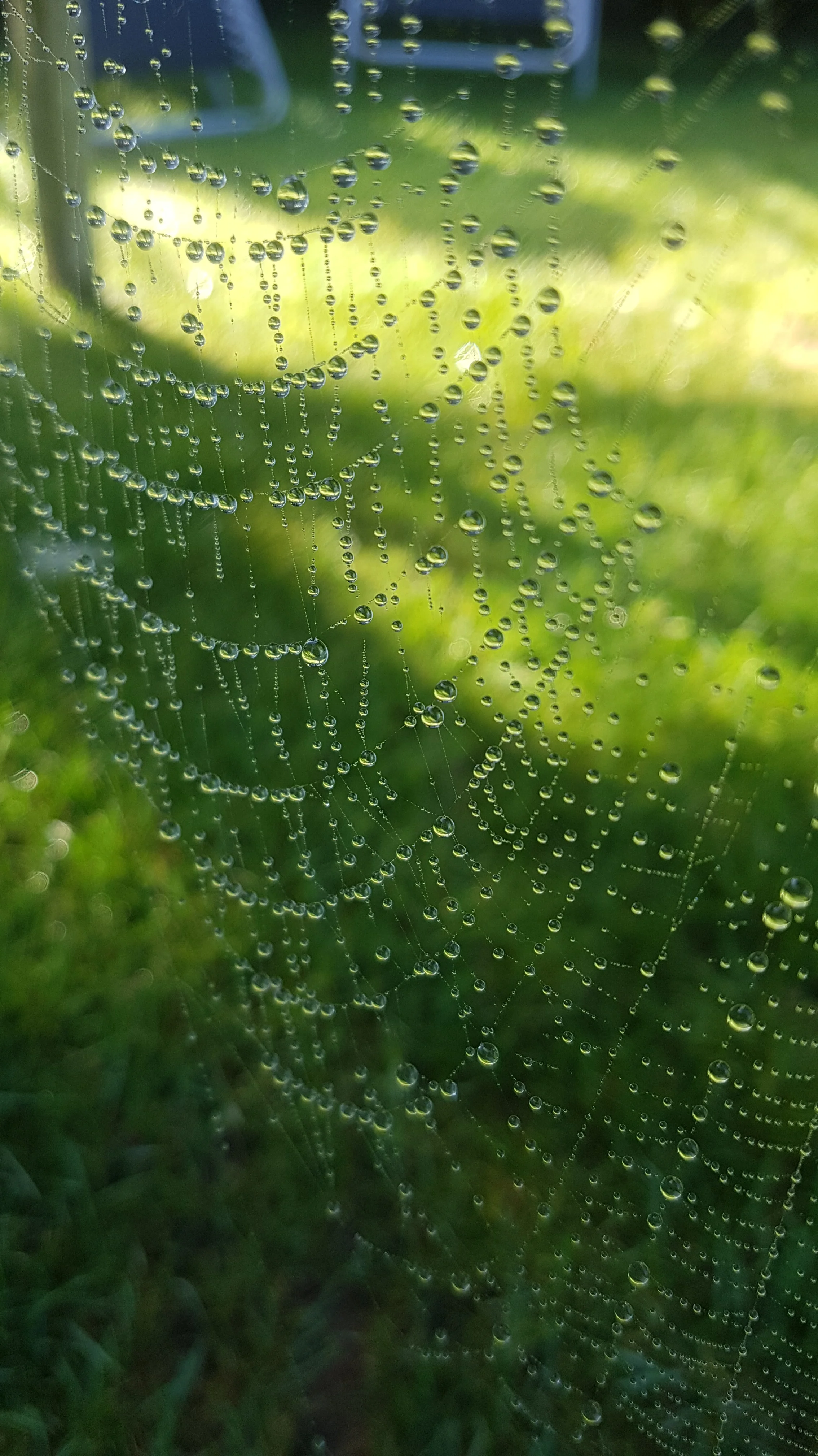 20180927_101815.jpg