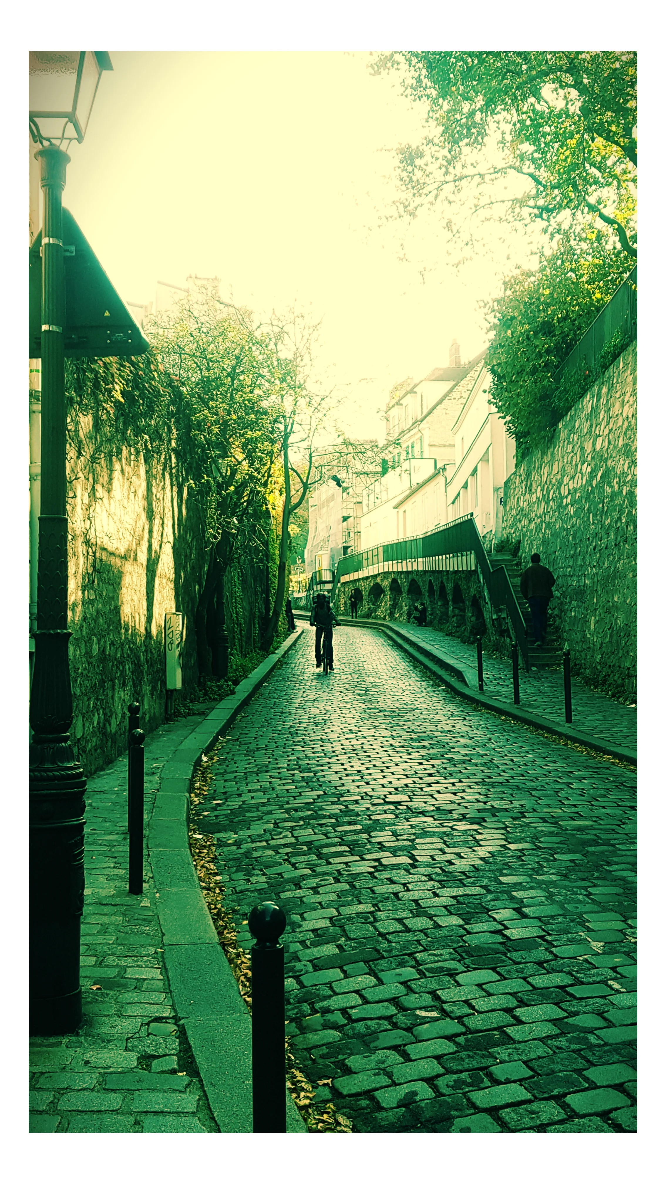 amelie 15.jpg
