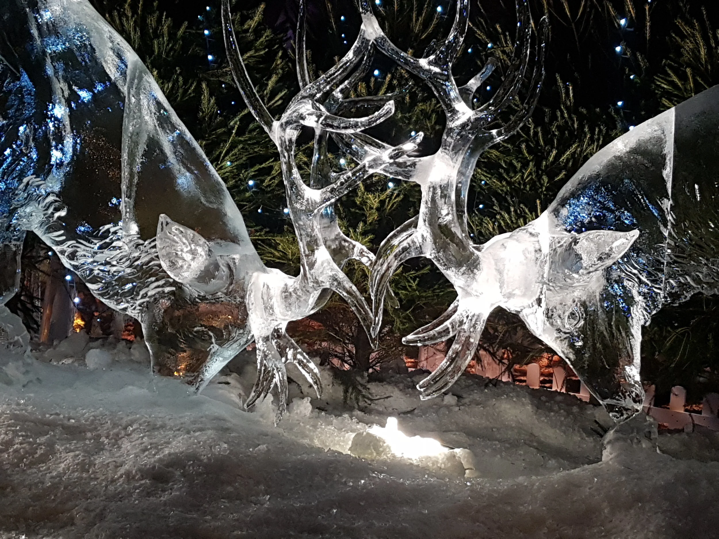 20171126_154217.jpg