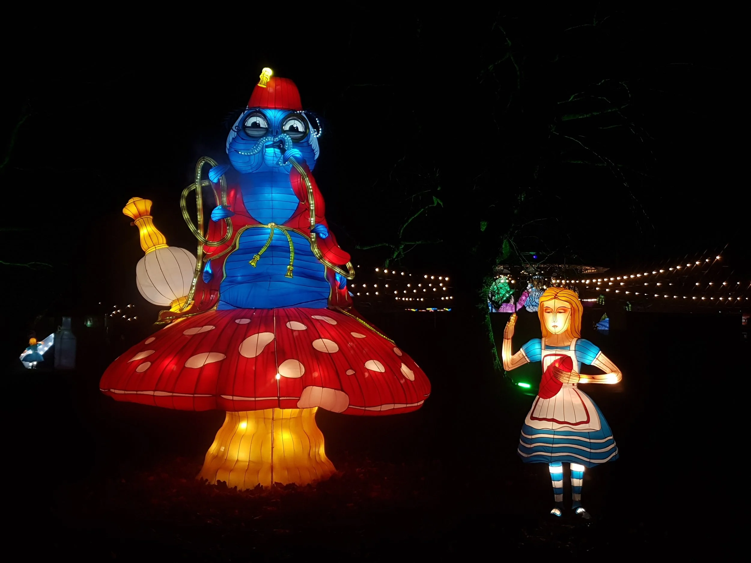 20181227_174341.jpg