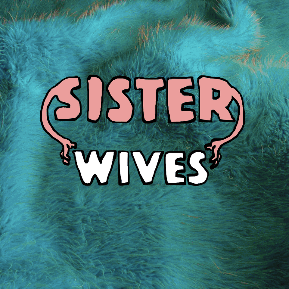 SisterWives GIF.gif