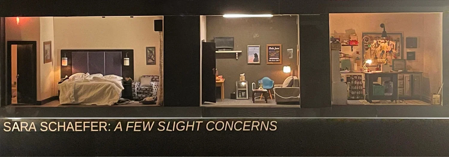 Sara Schaefer Exhibit.webp