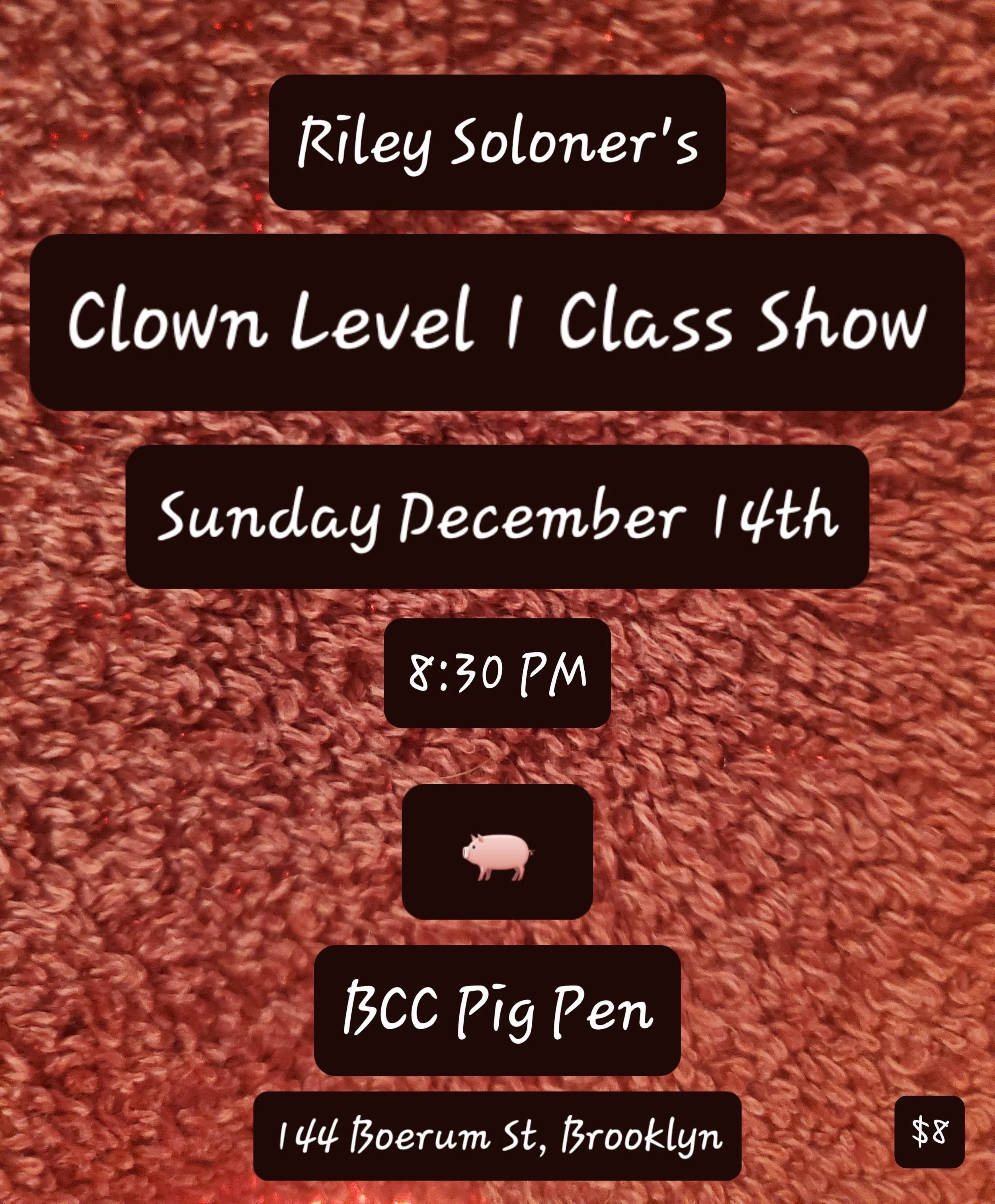 Riley Soloner's Clown Level 1 Class Show
