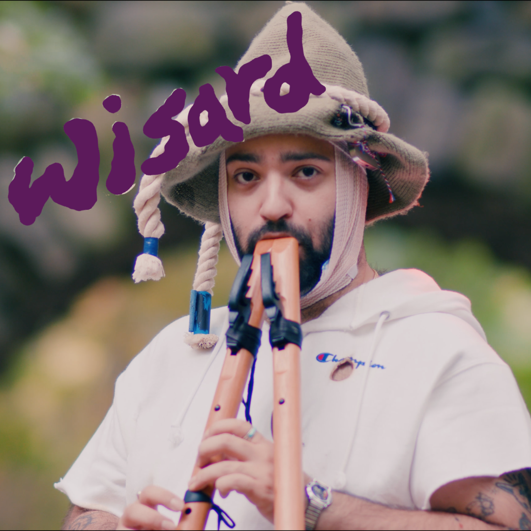 Wisard