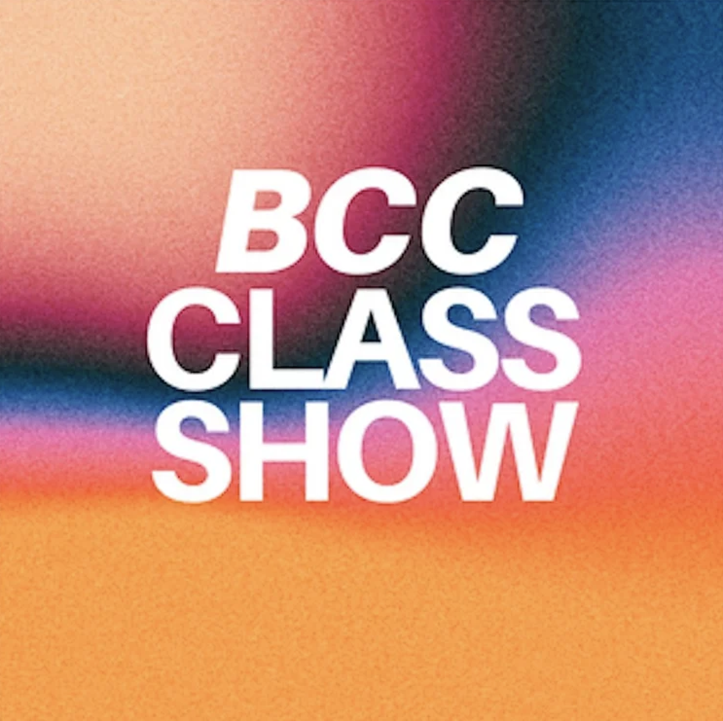 Chris Manley's Clown Level 2 Class Show