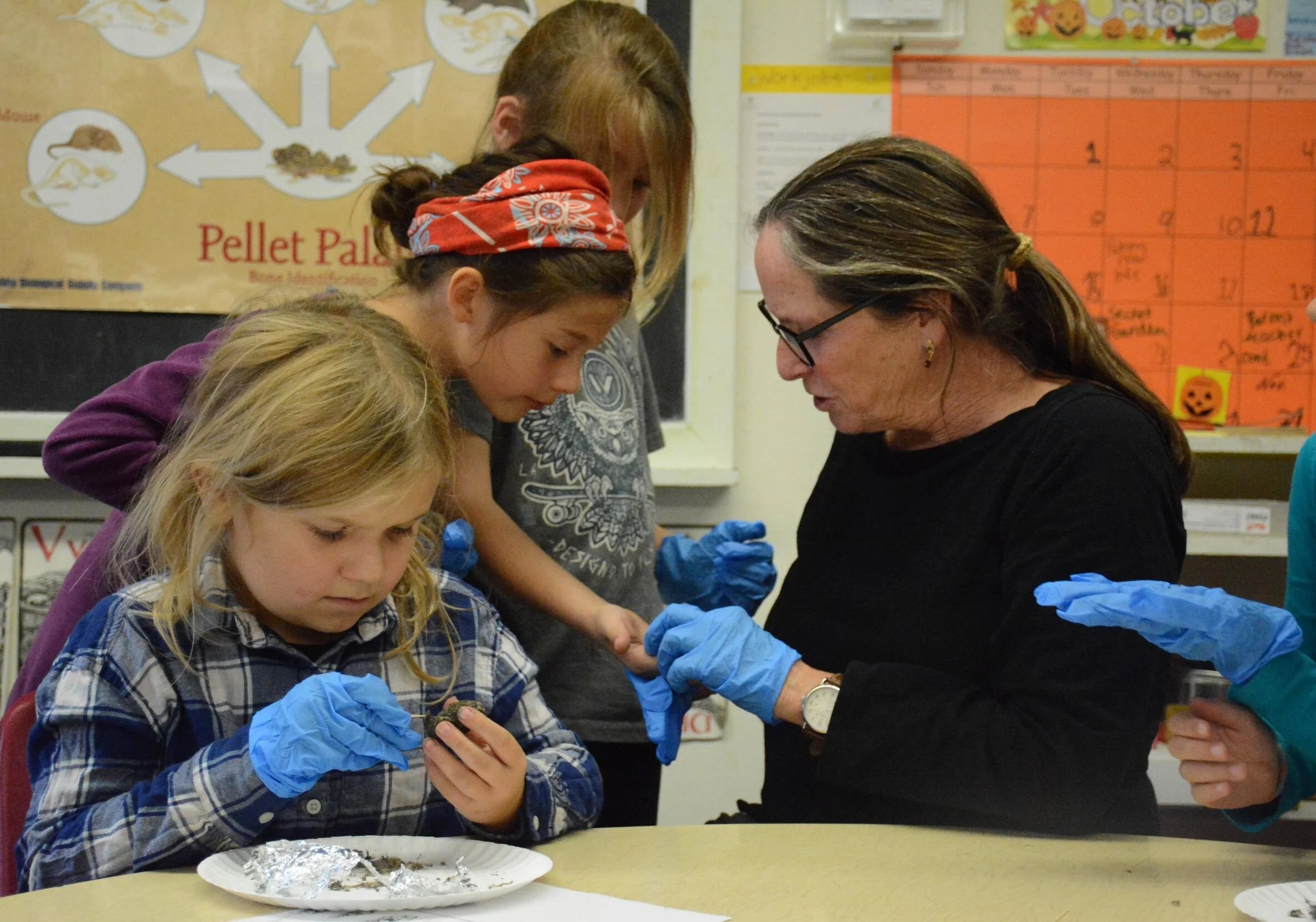 Dissecting