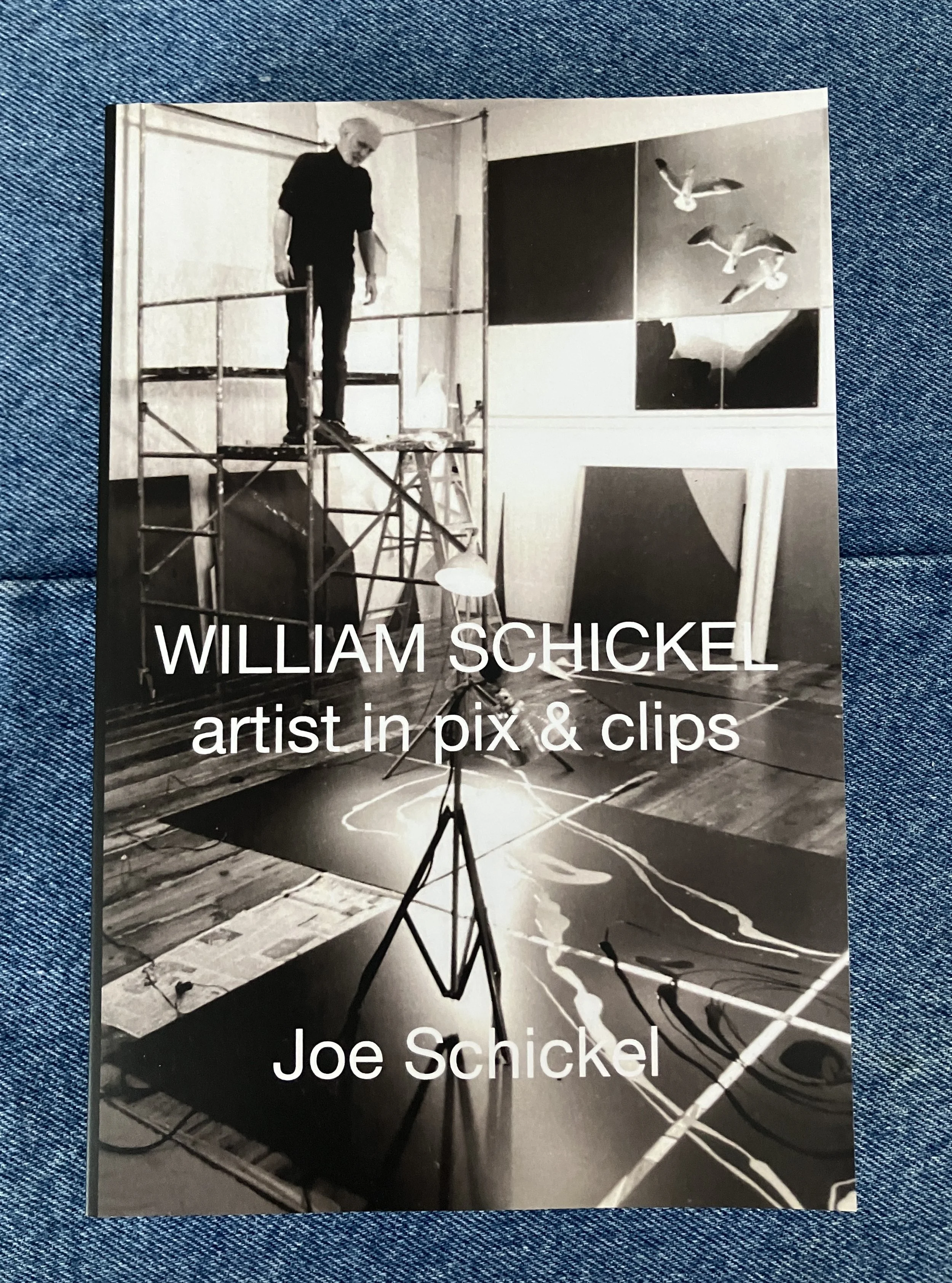 William Schickel: artist is pix and clips