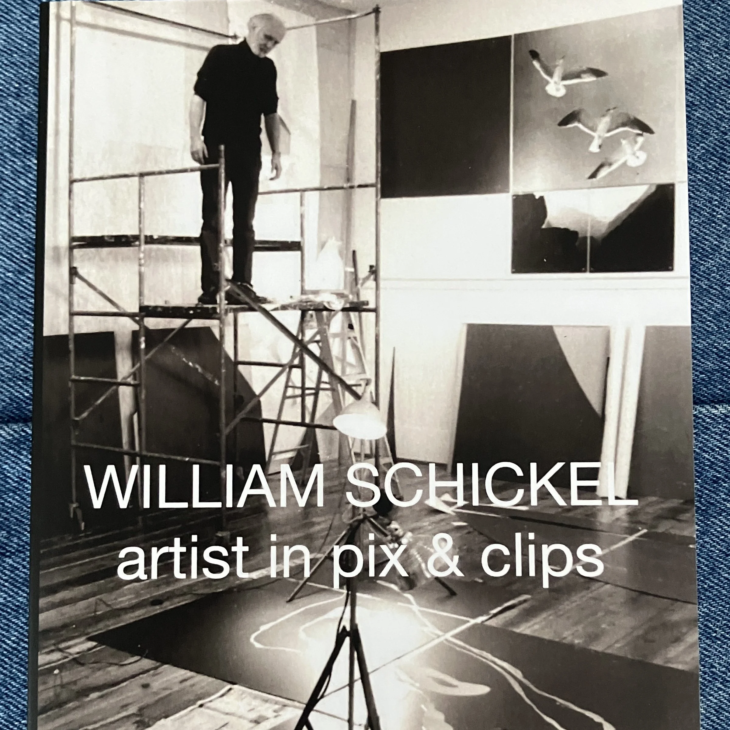 William Schickel: artist is pix and clips