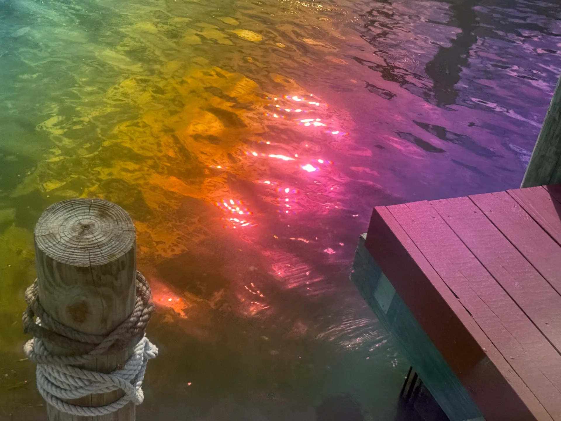 20250830-20250830-IMG_7923 2.jpg