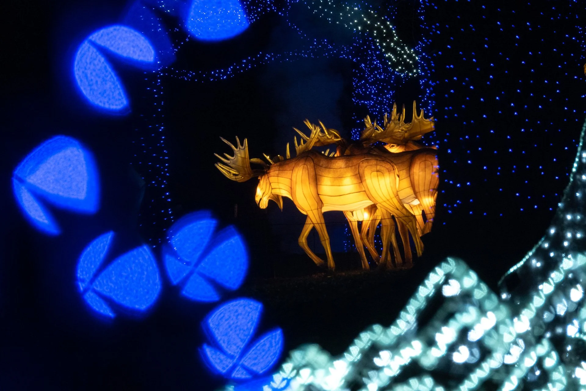 20251218-20251218-DSC01107Copy 1.jpg