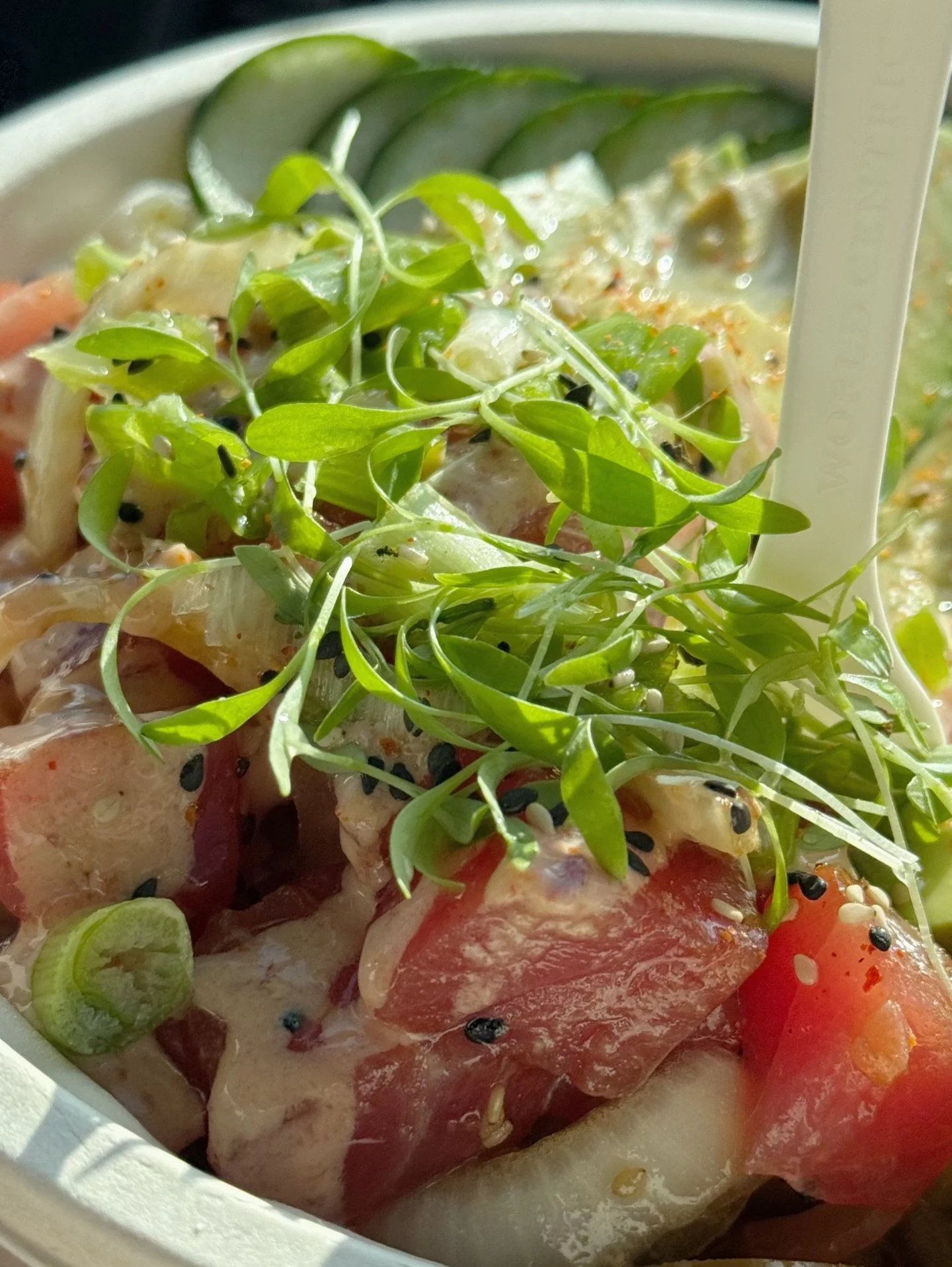 here til 2 :)

We will be closed tomorrow but reopen Friday. See you then!