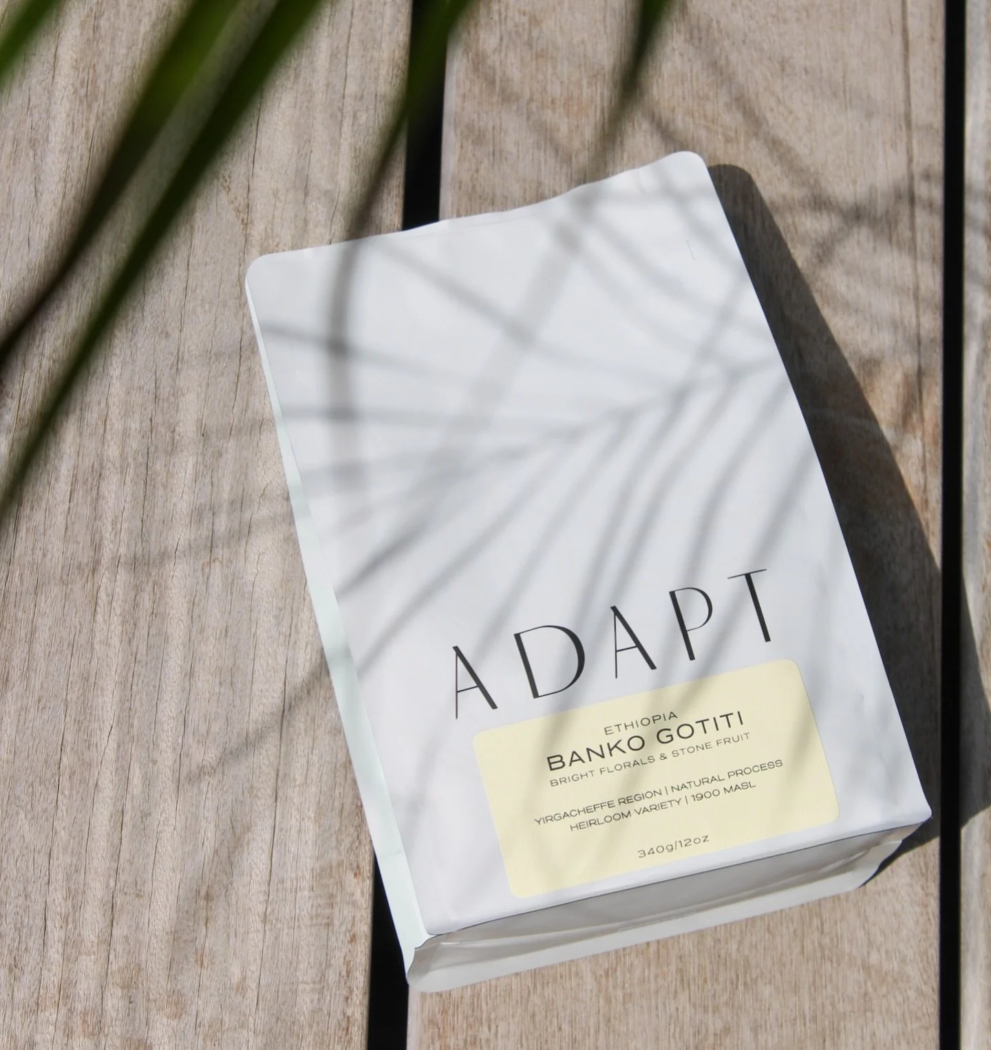 A D D S  T O  C A R T
💌 📦 🚐 ✈️ ☕️ 

Head to our website to get coffee shipped directly to your doorstep :)