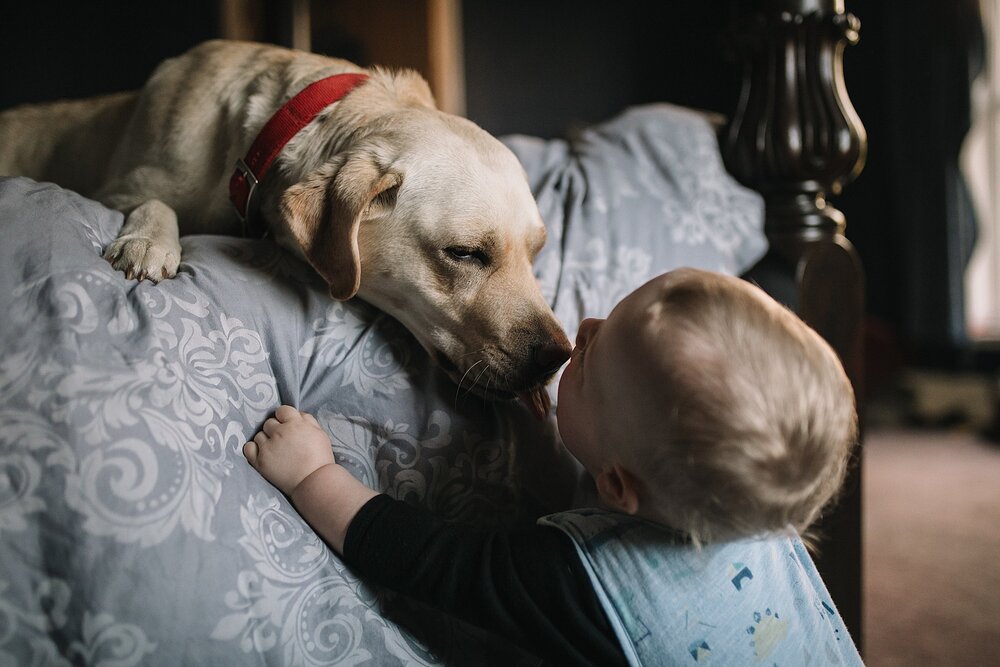 Derbyshire_Family_Photographer_0135.jpg