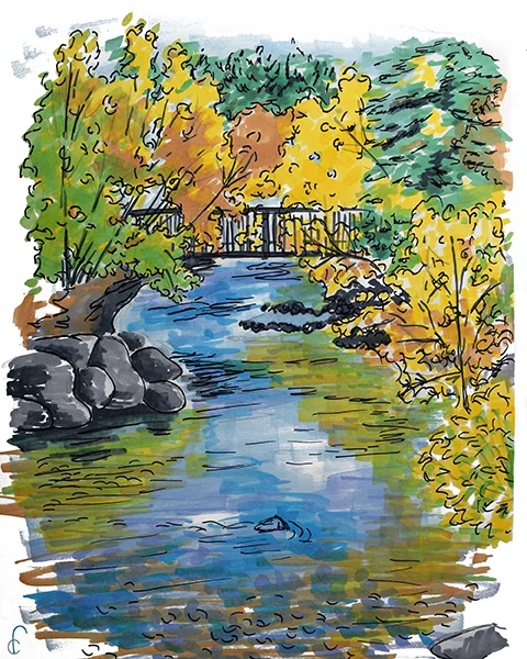 Fall Scene