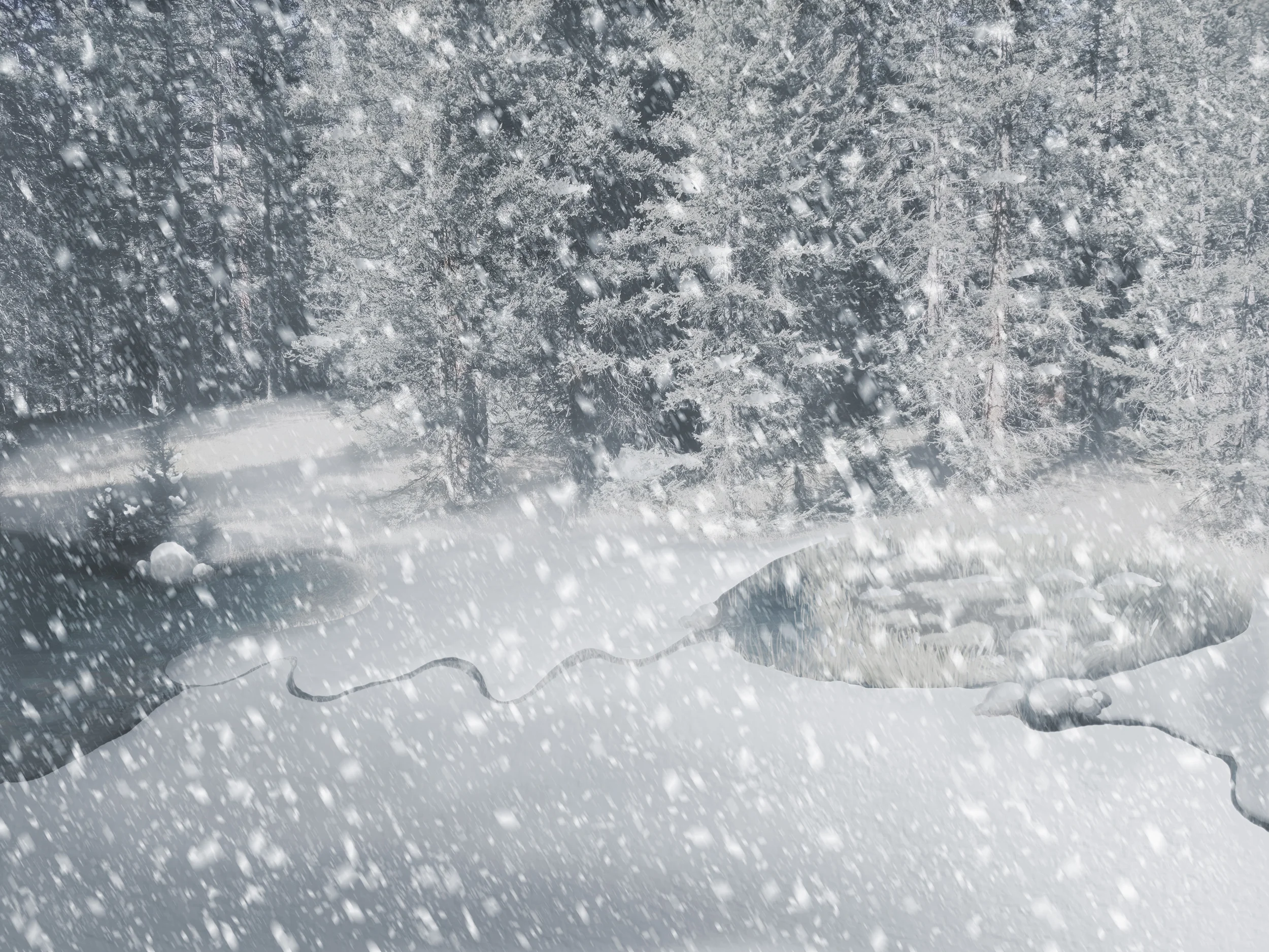 Winter Concept
