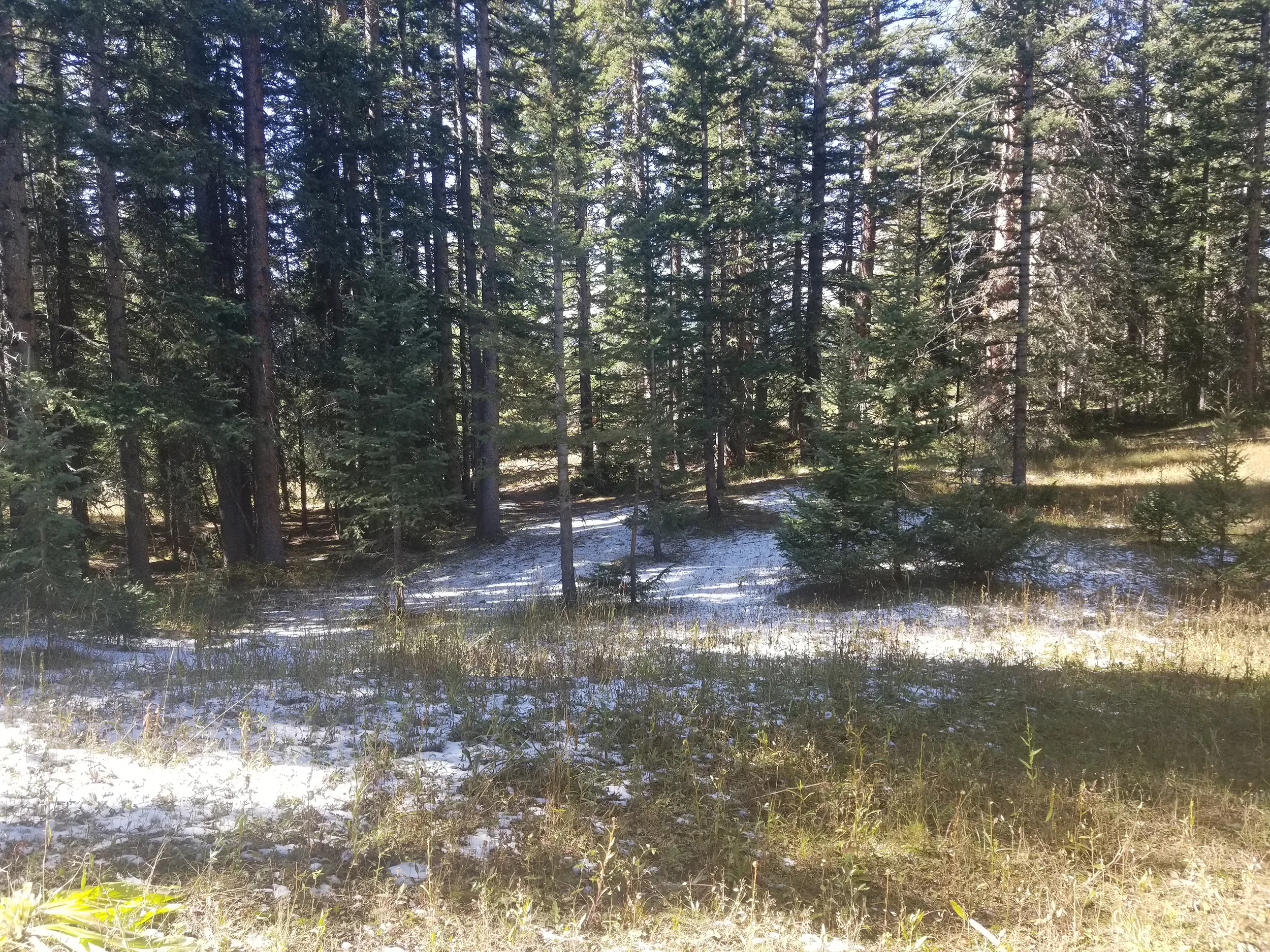 Original Photo #2