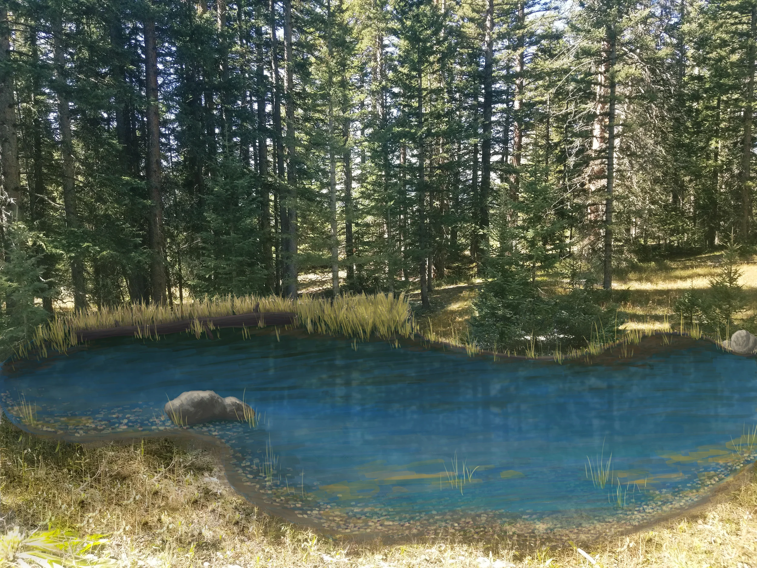 Summer Concept #2