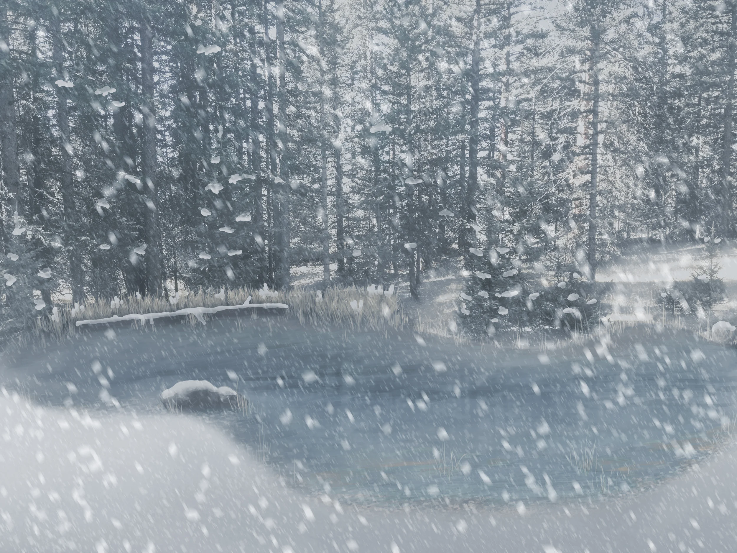 Winter Concept #2