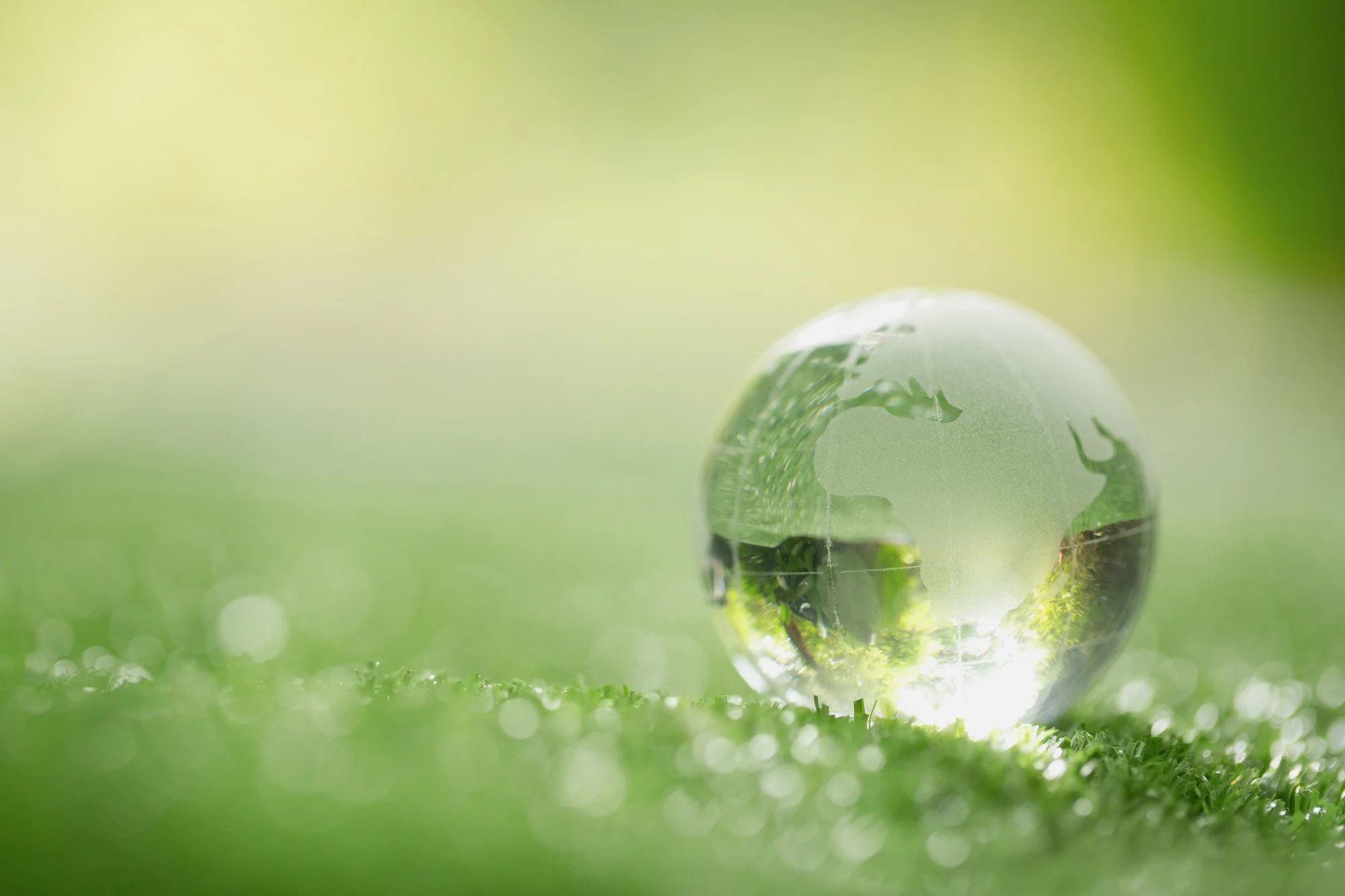 Driving Sustainability Forward: Journal Graphics’ Partnership with Green Planet 21 and Recycling Innovation