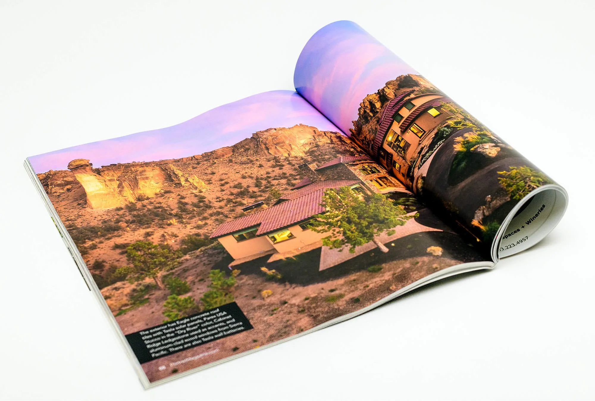 portrait half open.jpg