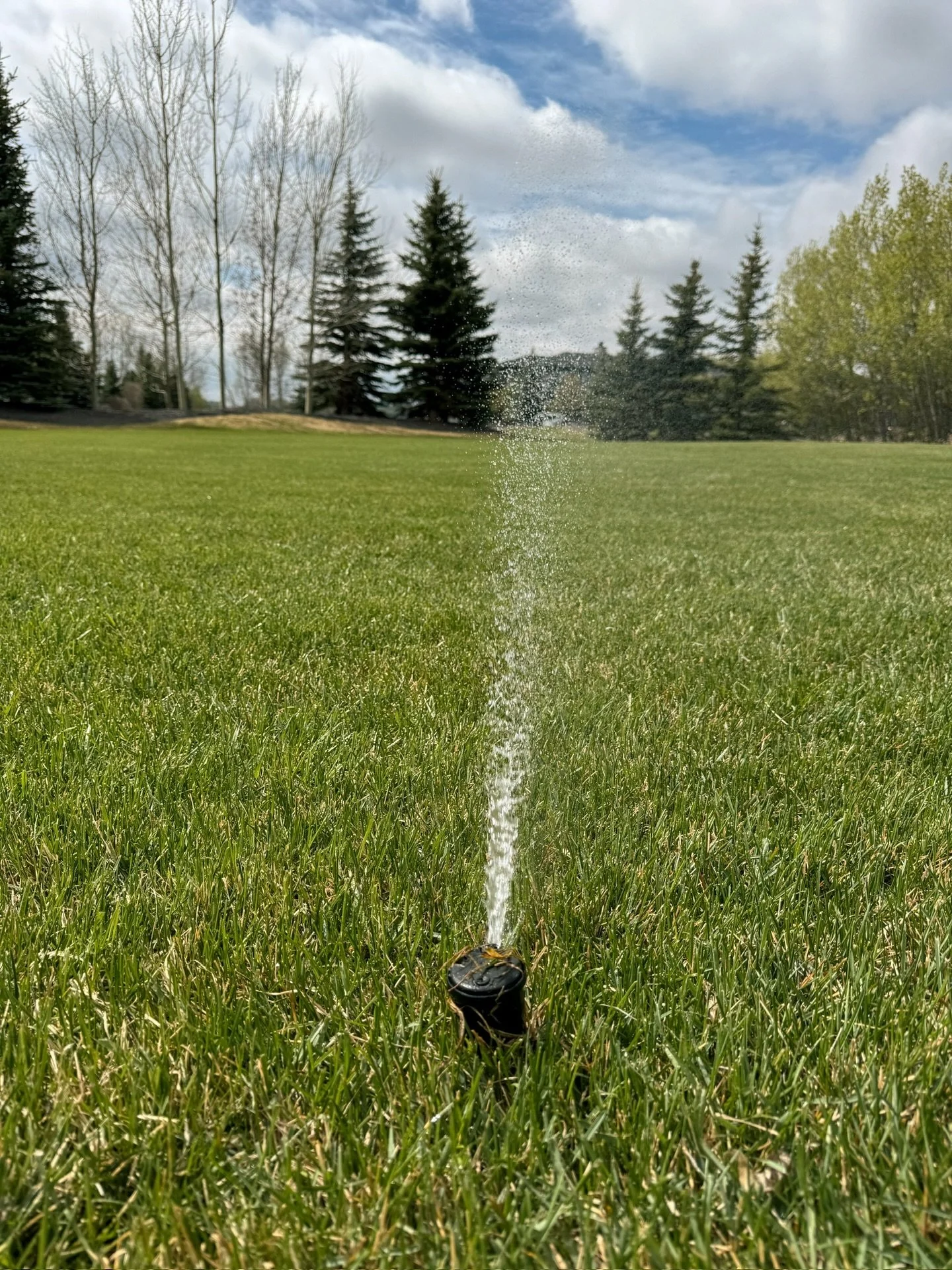 Too much pressure creates mist.
Proper pressure delivers even distribution. 
#GrizzlyIrrigation
#YYClandscaping
#CalgaryIrrigation
#IrrigationSpecialist
#builttolast