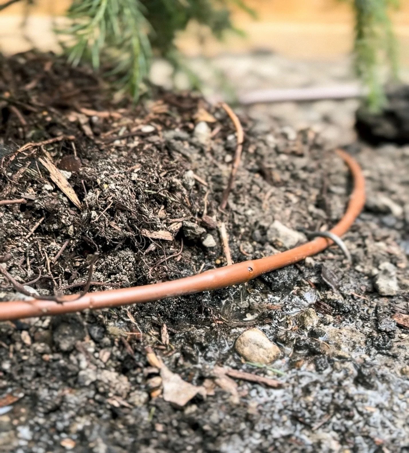 The small details behind an irrigation system are often the difference between a system that simply runs and one that performs properly for years to come.

Drip irrigation isn&rsquo;t about applying a large volume of water quickly. It&rsquo;s about d