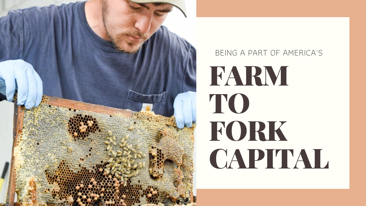 Check out our first Youtube Video!