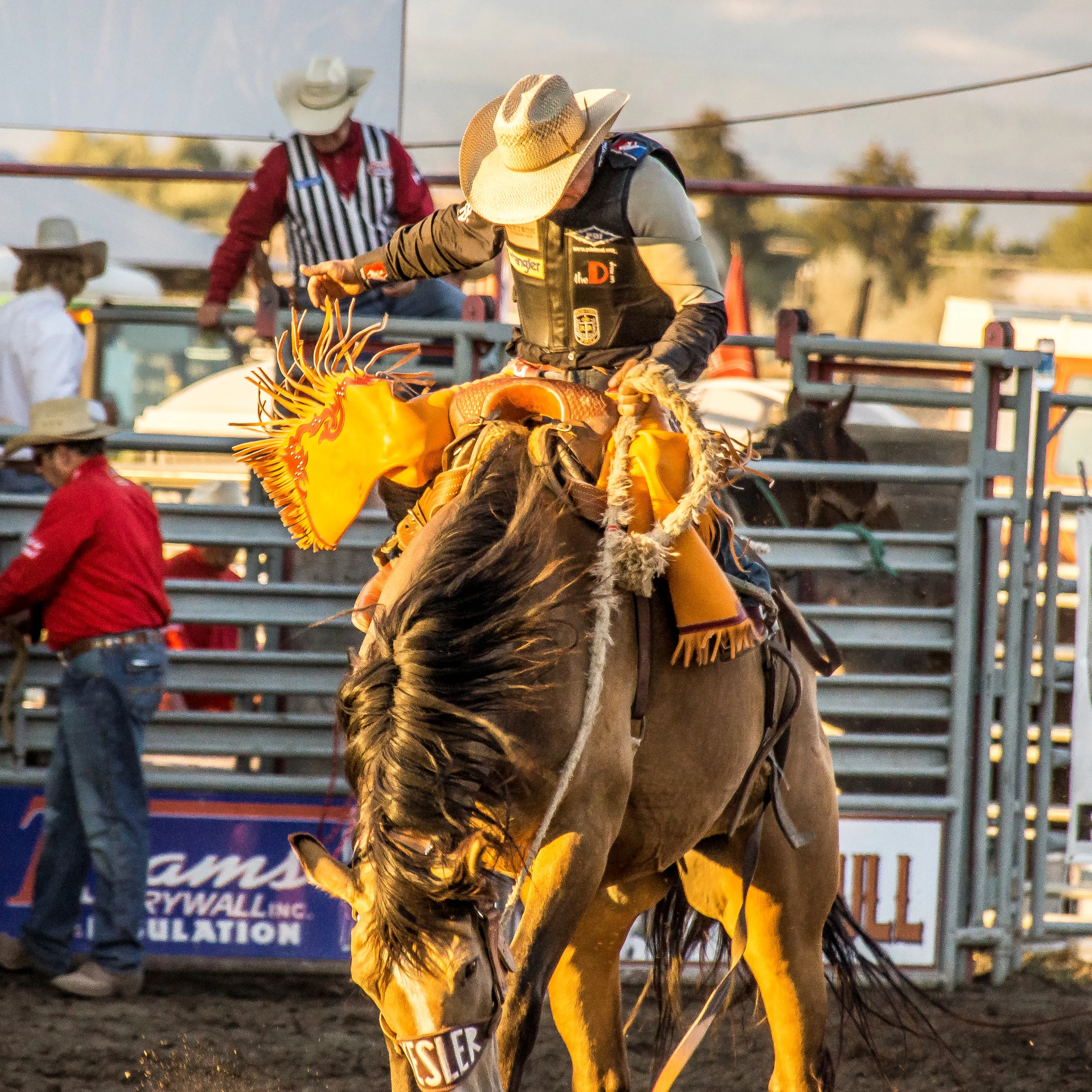 BROWN  SADDLE BRONC  MONTANA 2016   8-1.jpg