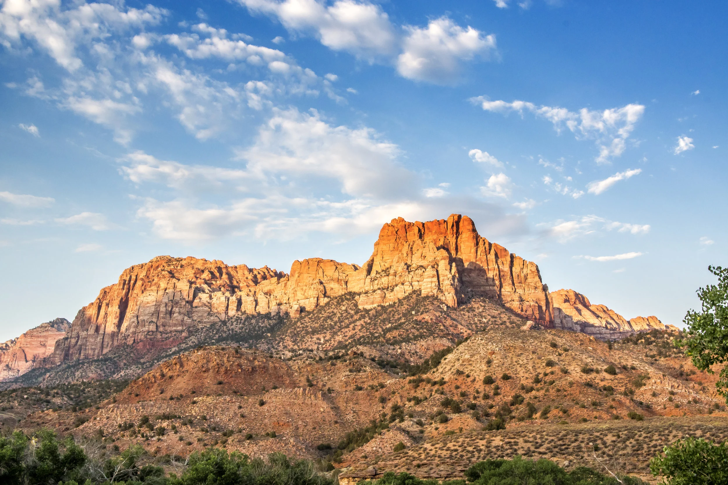 ZION SUNSET.jpg