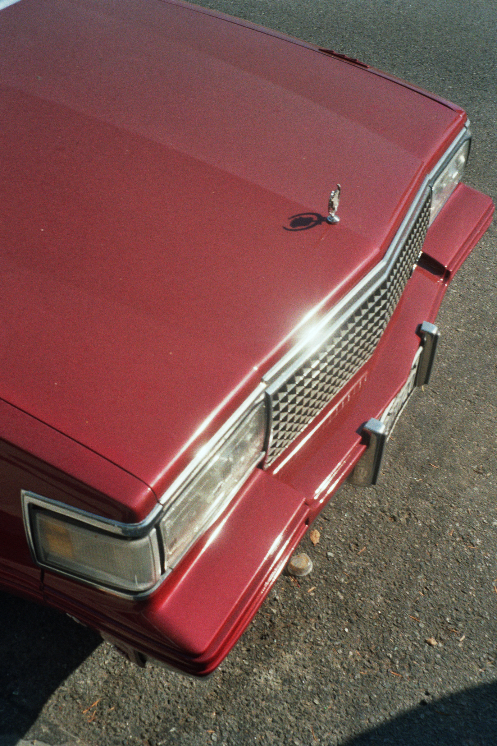 _1A_01269.jpg