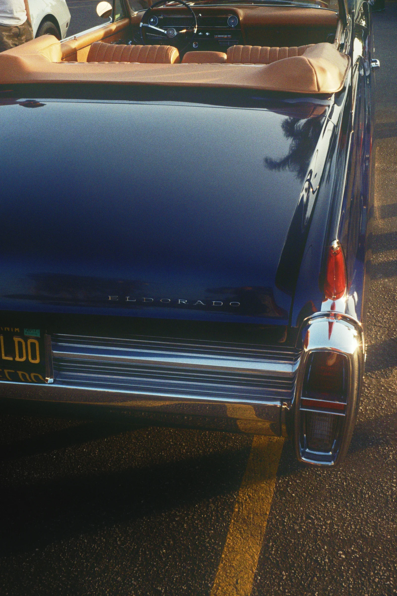_15_01282.jpg