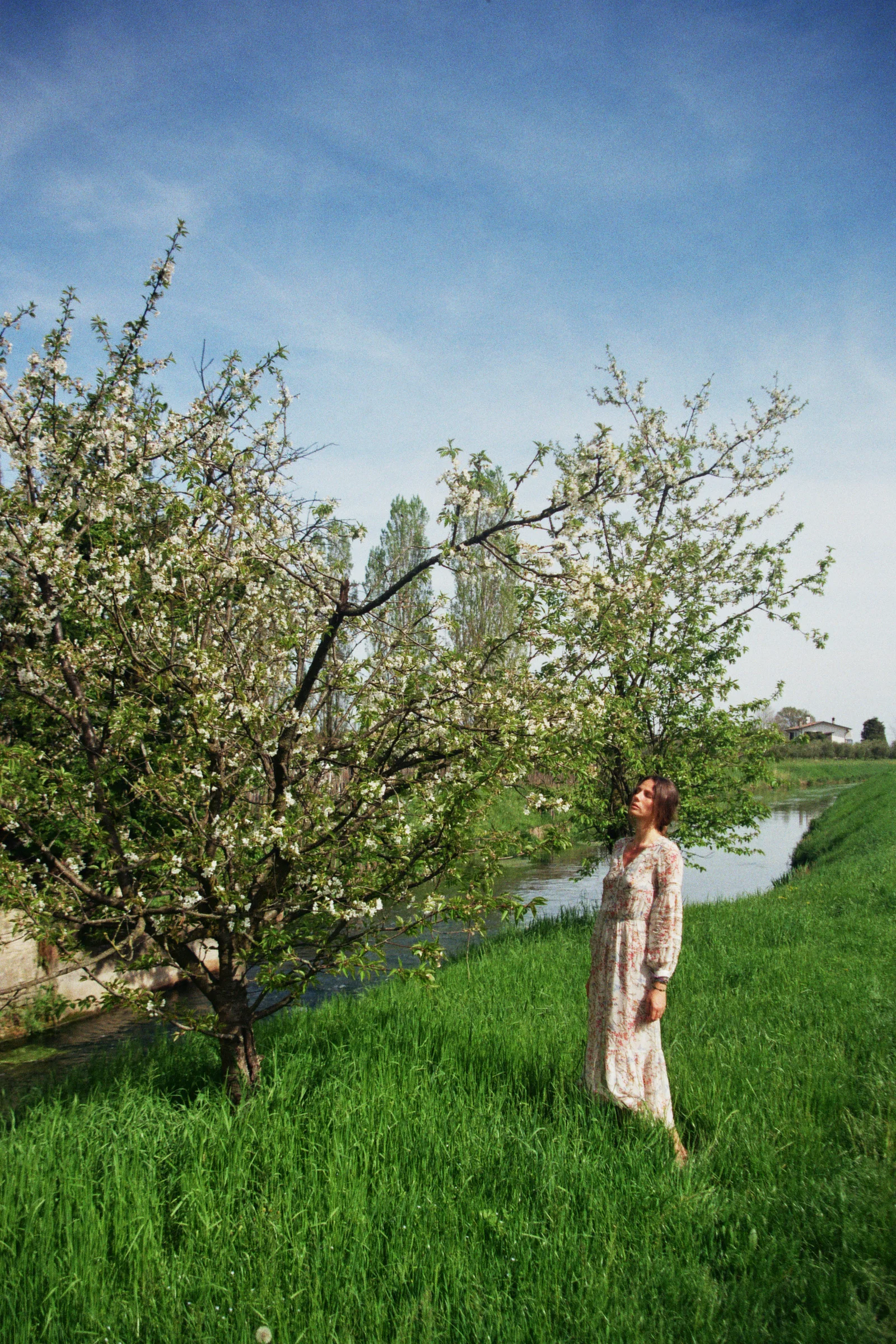 _33_01472.jpg