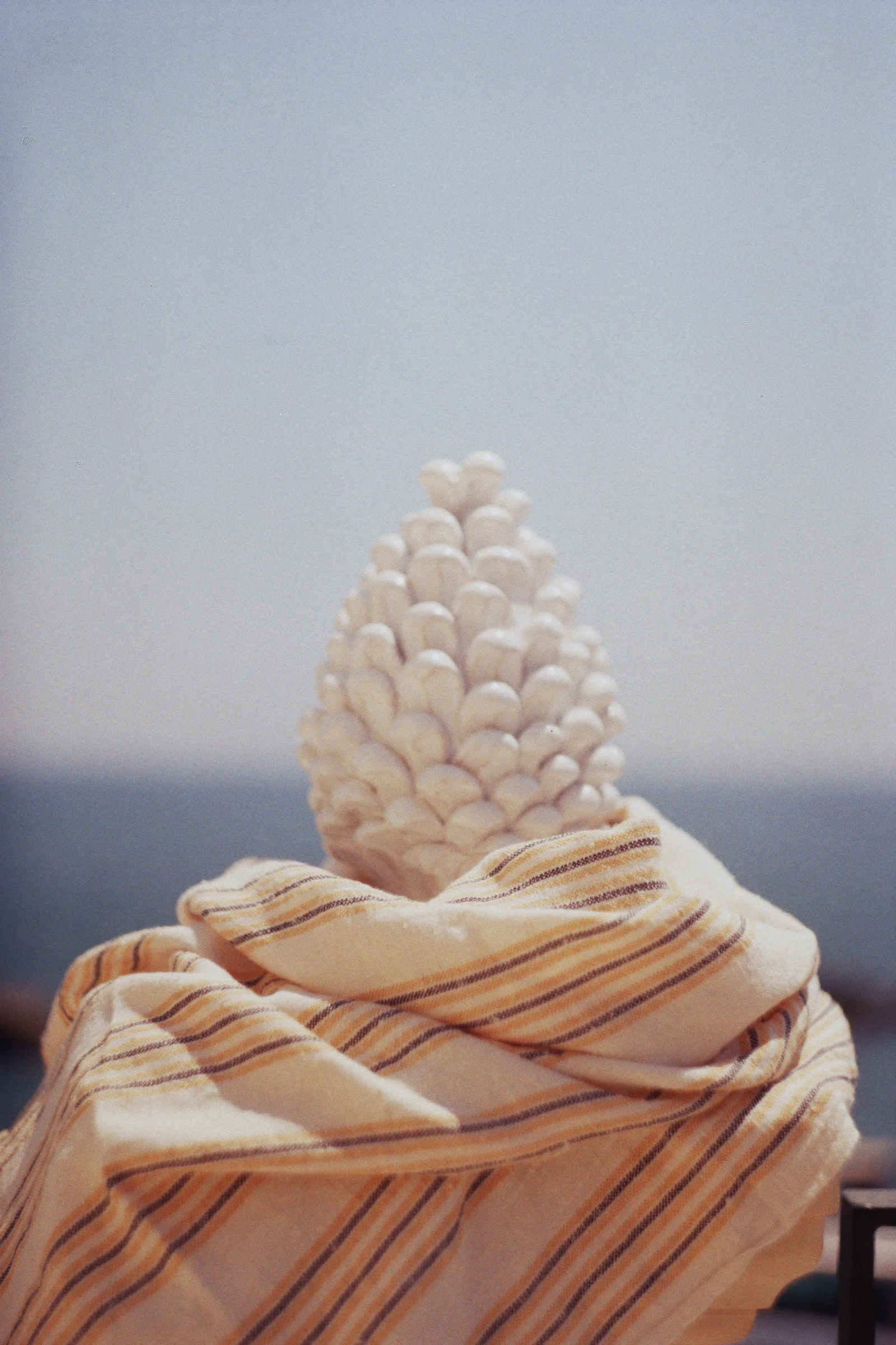 _31_02367.jpg
