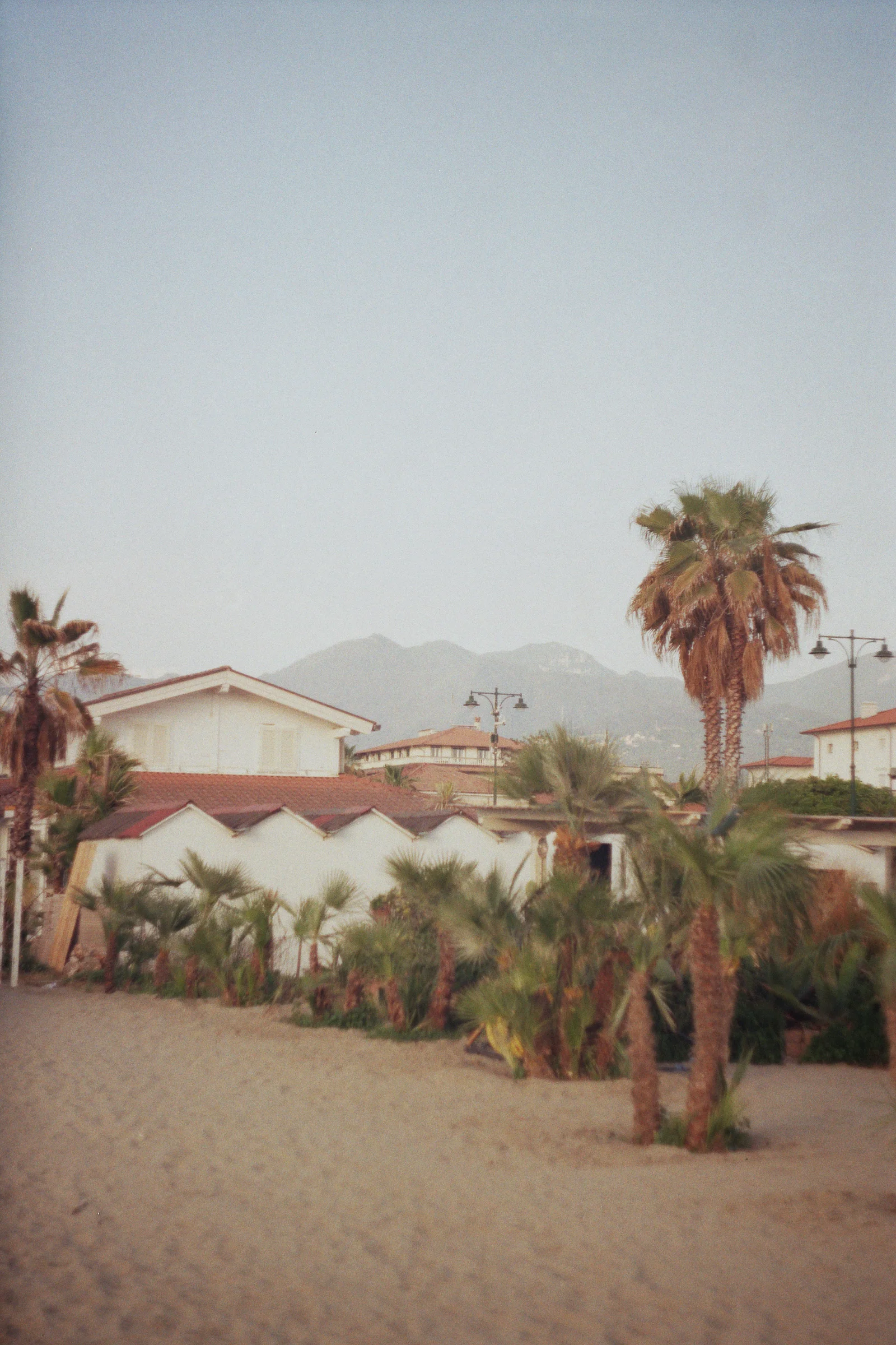 _21_00559.jpg