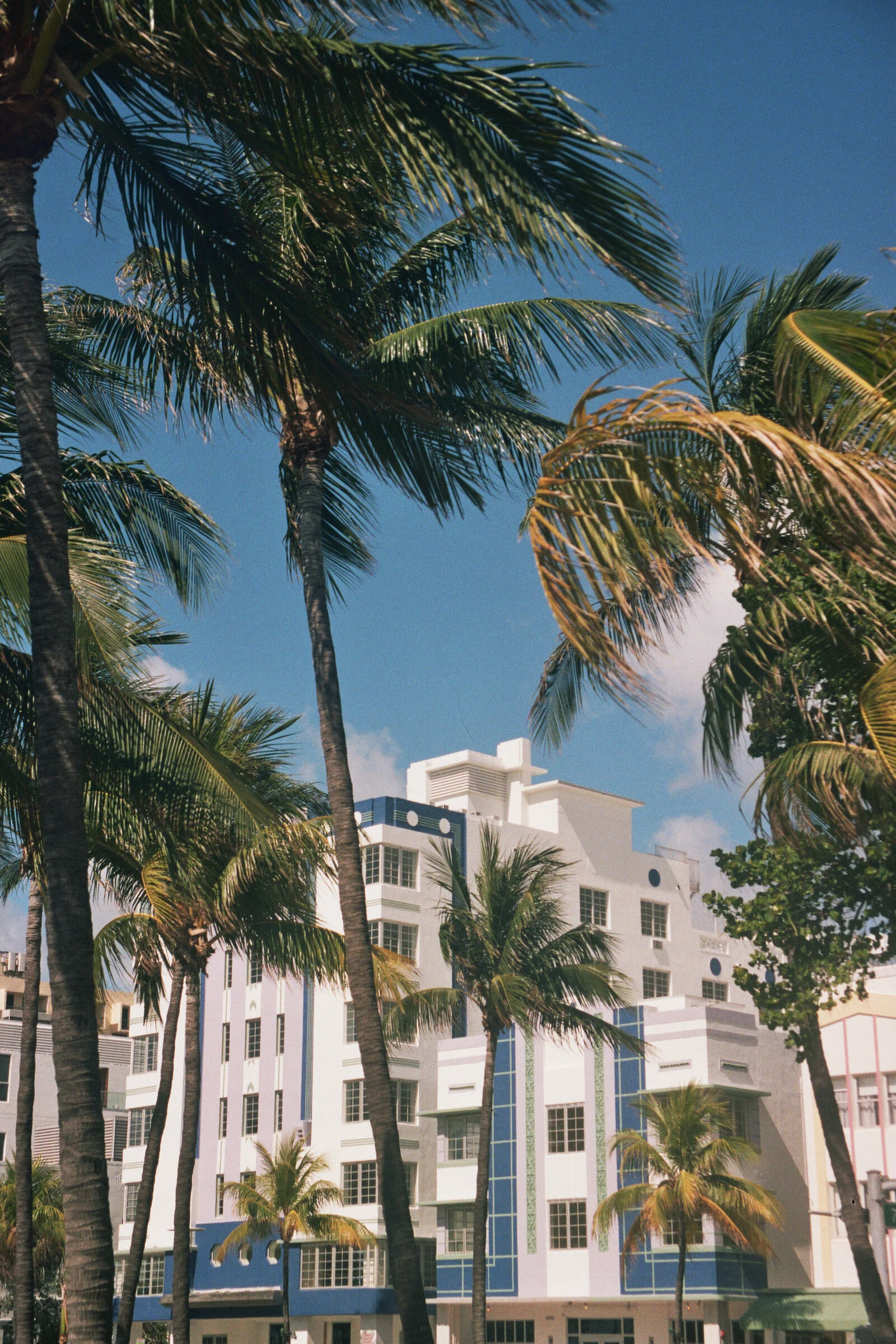 _17_01058.jpg