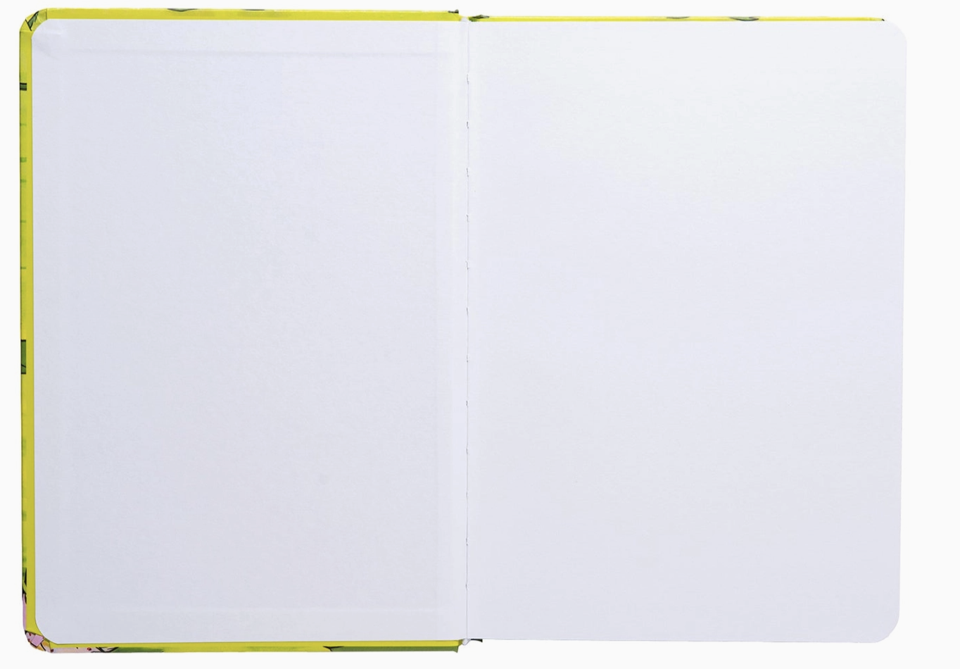 Screenshot 2026-03-20 at 11.29.43 PM.png