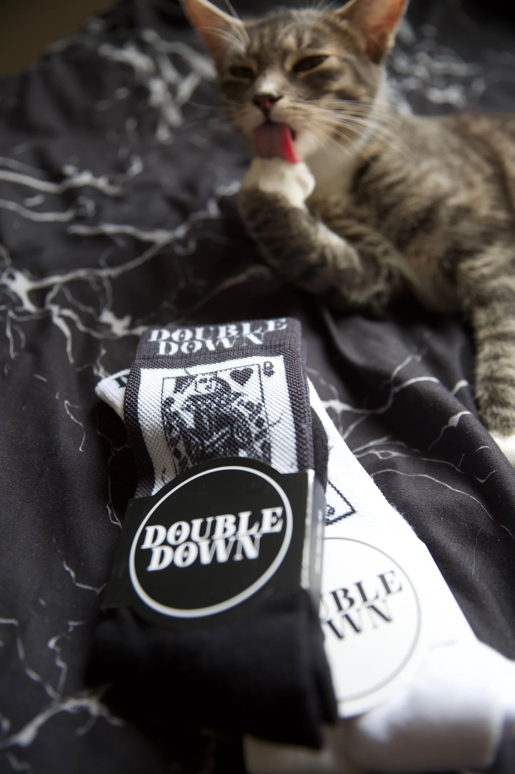 0D933787-9F52-42A8-8D39-24D3D5A7A0A7