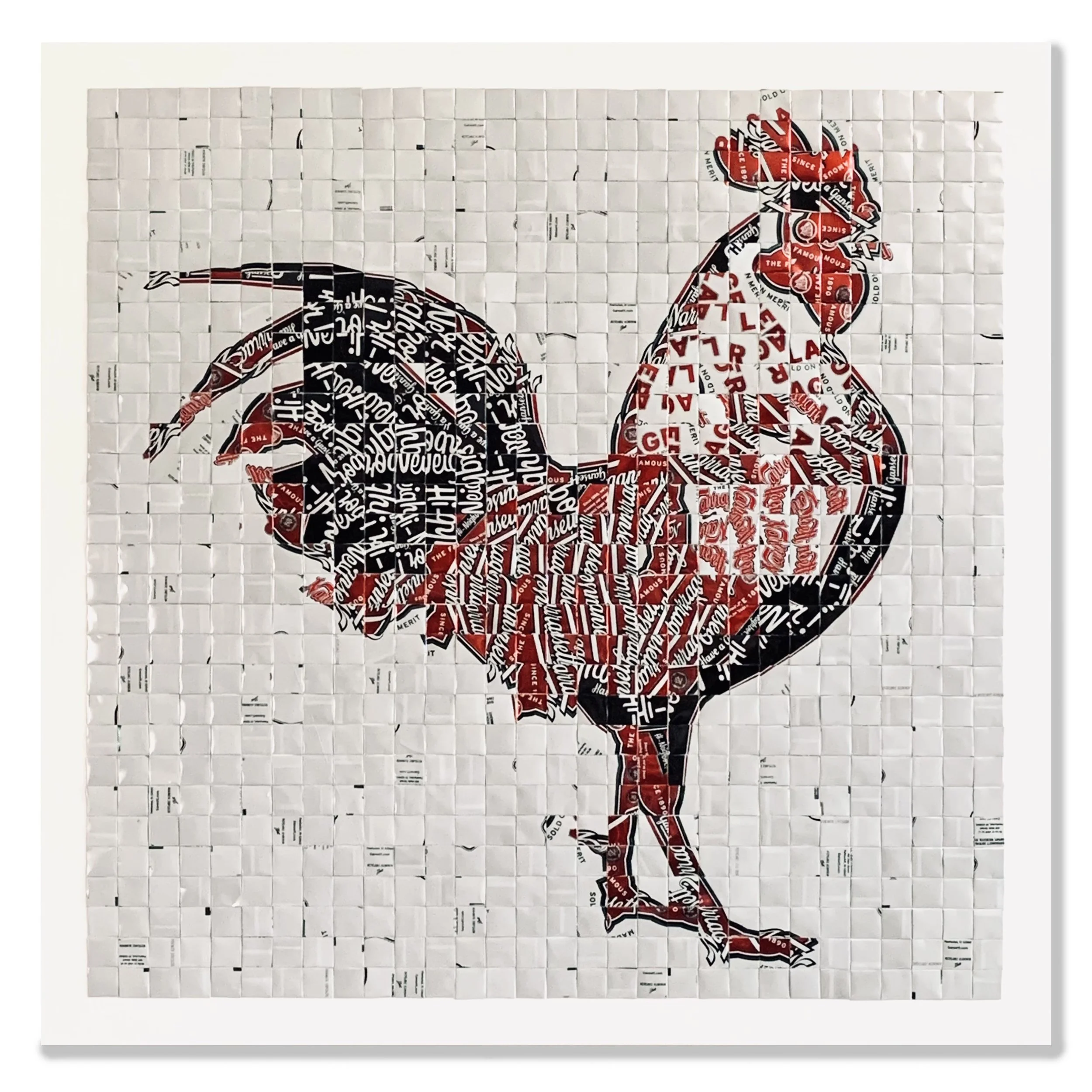 rhode island red.jpg