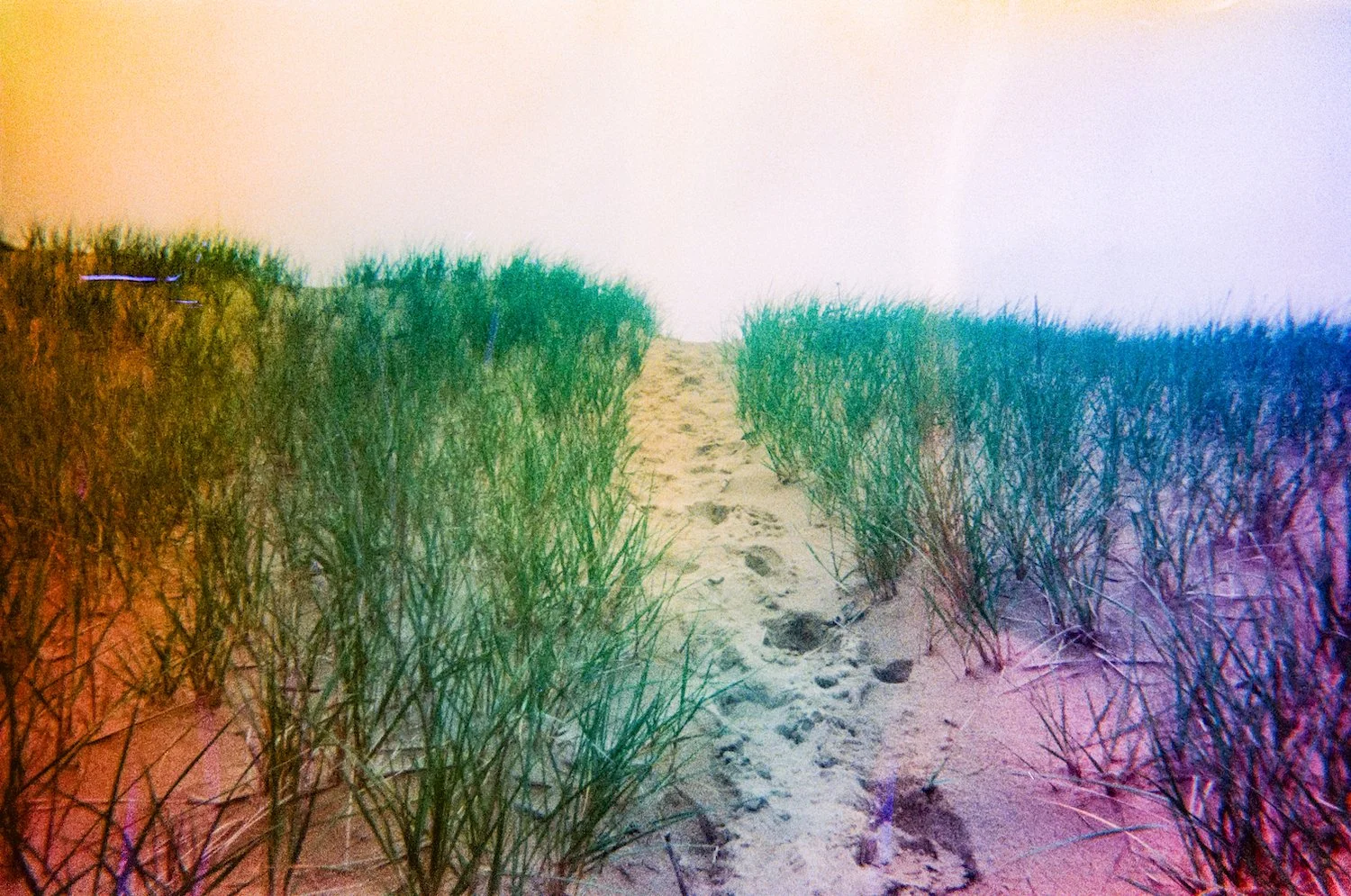 copy small 3.jpg