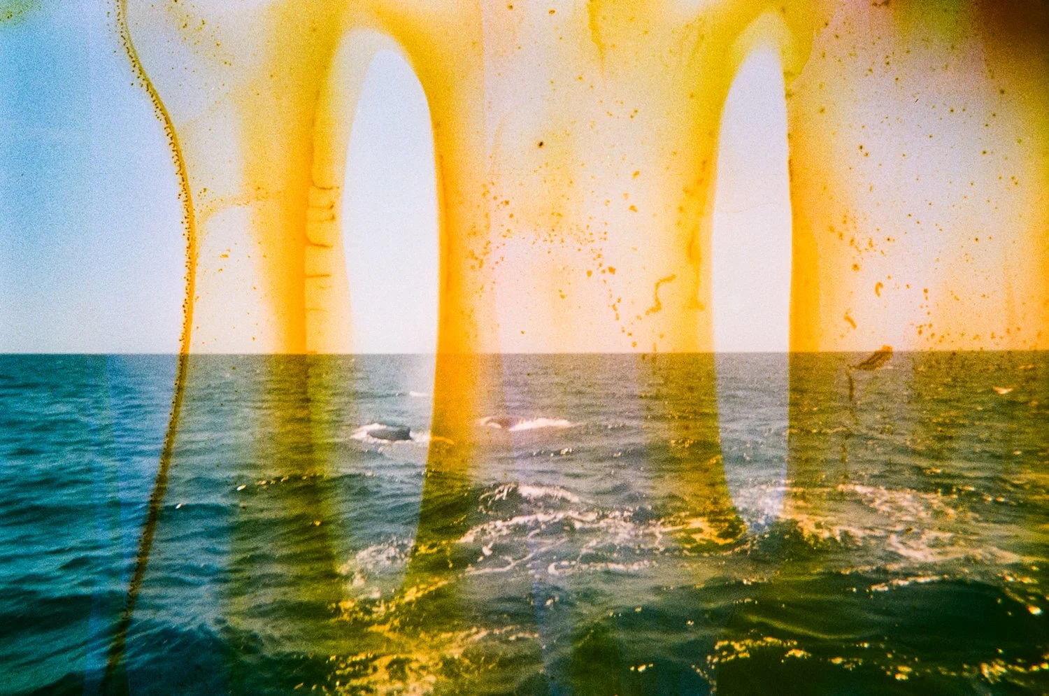 February 19 2024 CARN 23A-105 copy.jpeg