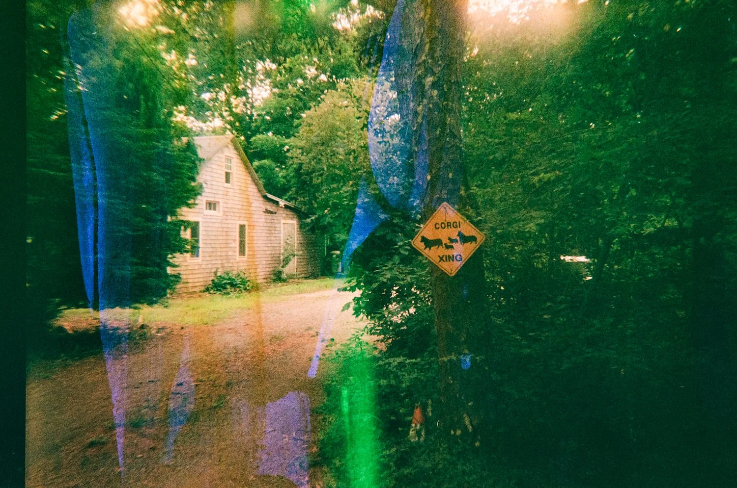 February 19 2024 CARN 23A-122 copy.jpeg