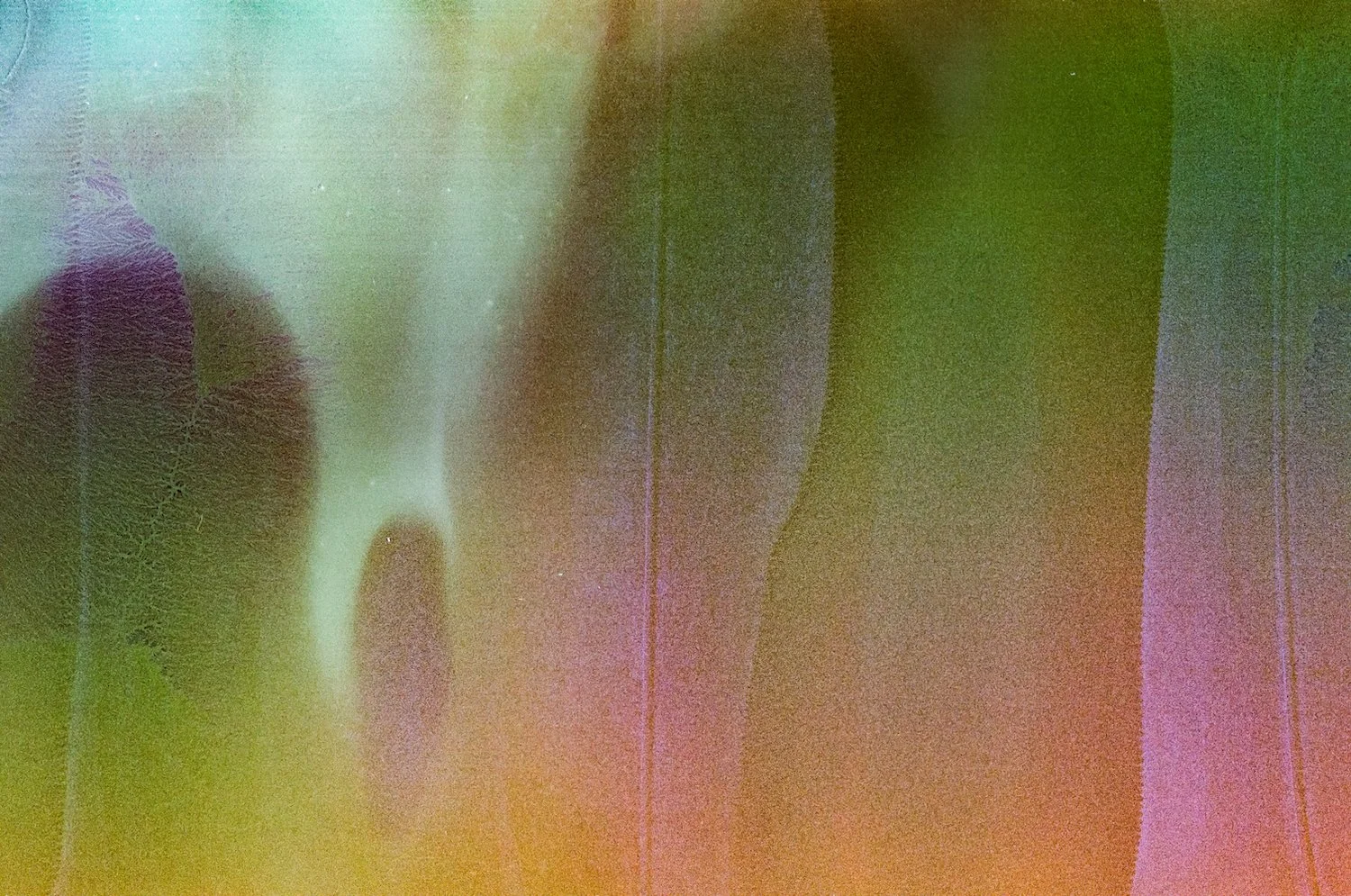 February 19 2024 Mendhi-230 copy.jpeg