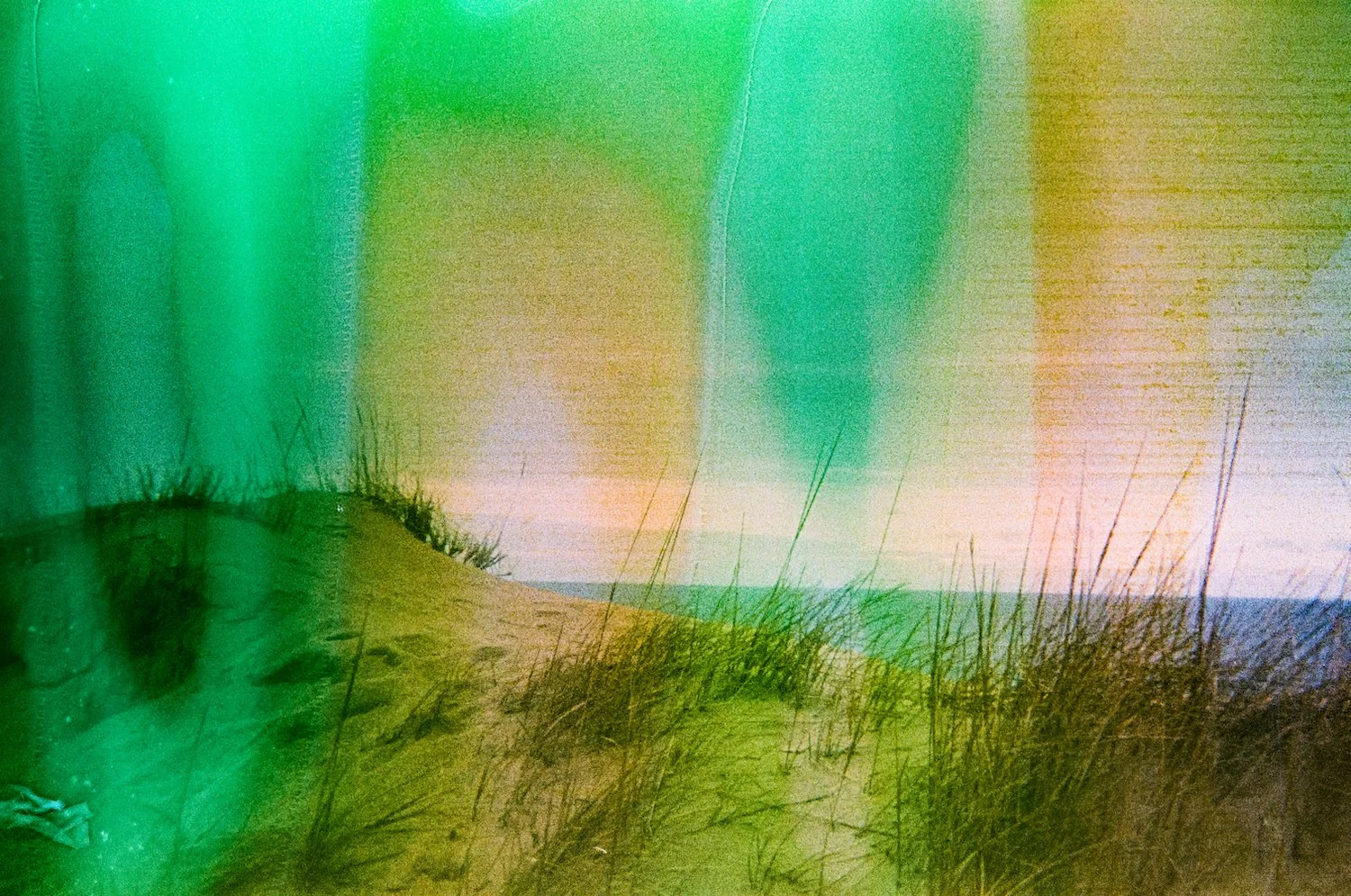 February 19 2024 Mendhi-236 copy.jpeg