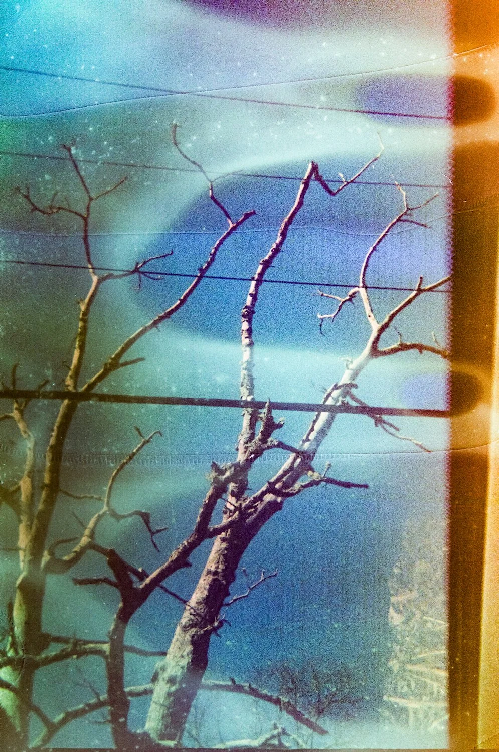 February 19 2024 Mendhi-242 copy.jpeg