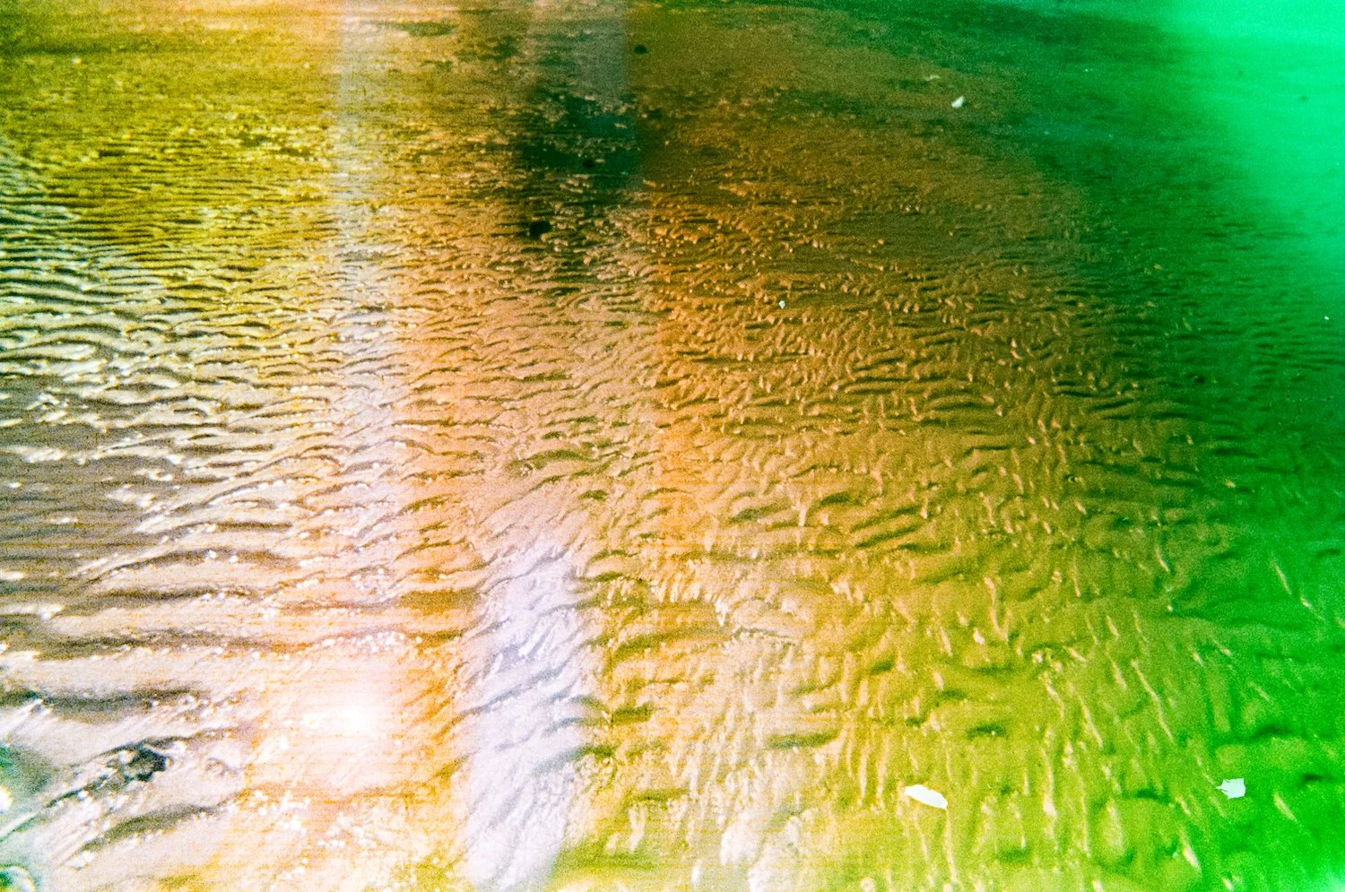 February 19 2024 Mendhi-244 copy.jpeg