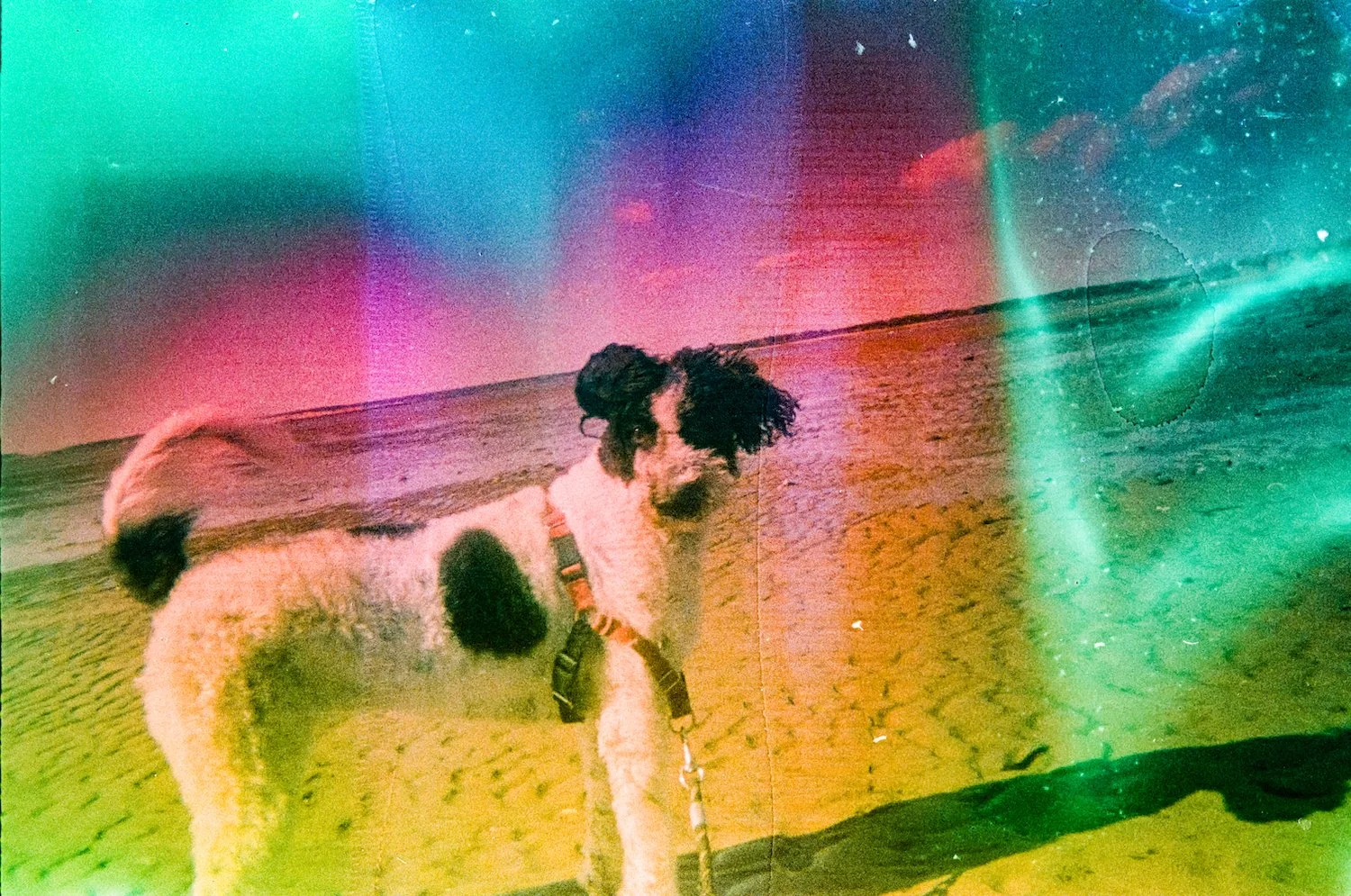 February 19 2024 Mendhi-245 copy.jpeg