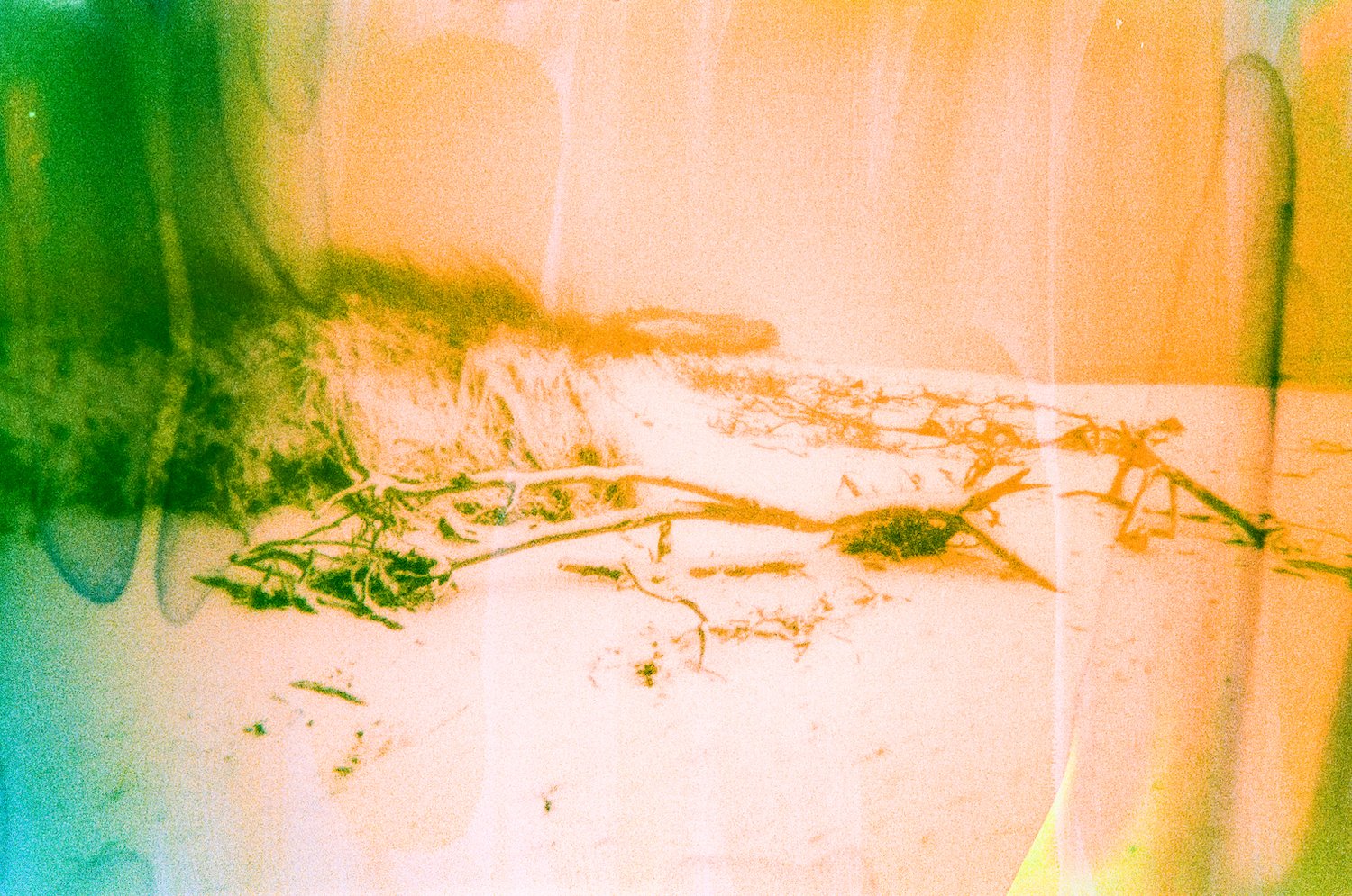 November 4 2024 400cn VV-23 copy.jpeg