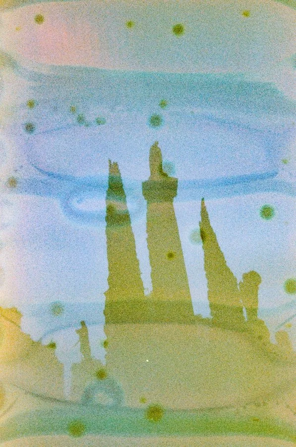 April 16 2024 Fuji Quicksnap B1-121 copy.jpeg