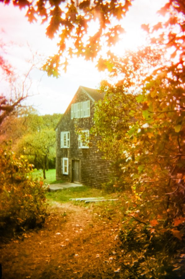 November 4 2024 Oct 23 full moon-40 copy.jpeg