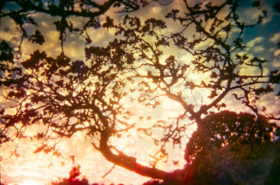 November 4 2024 Oct 23 full moon-56 copy.jpeg